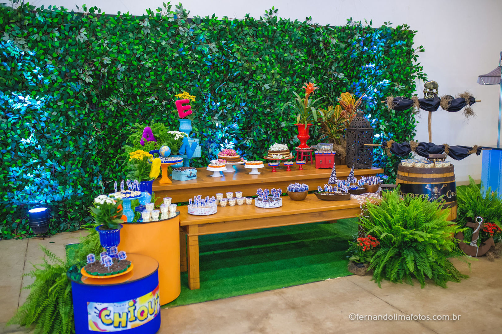 Aniversário gemeas california eventos 111