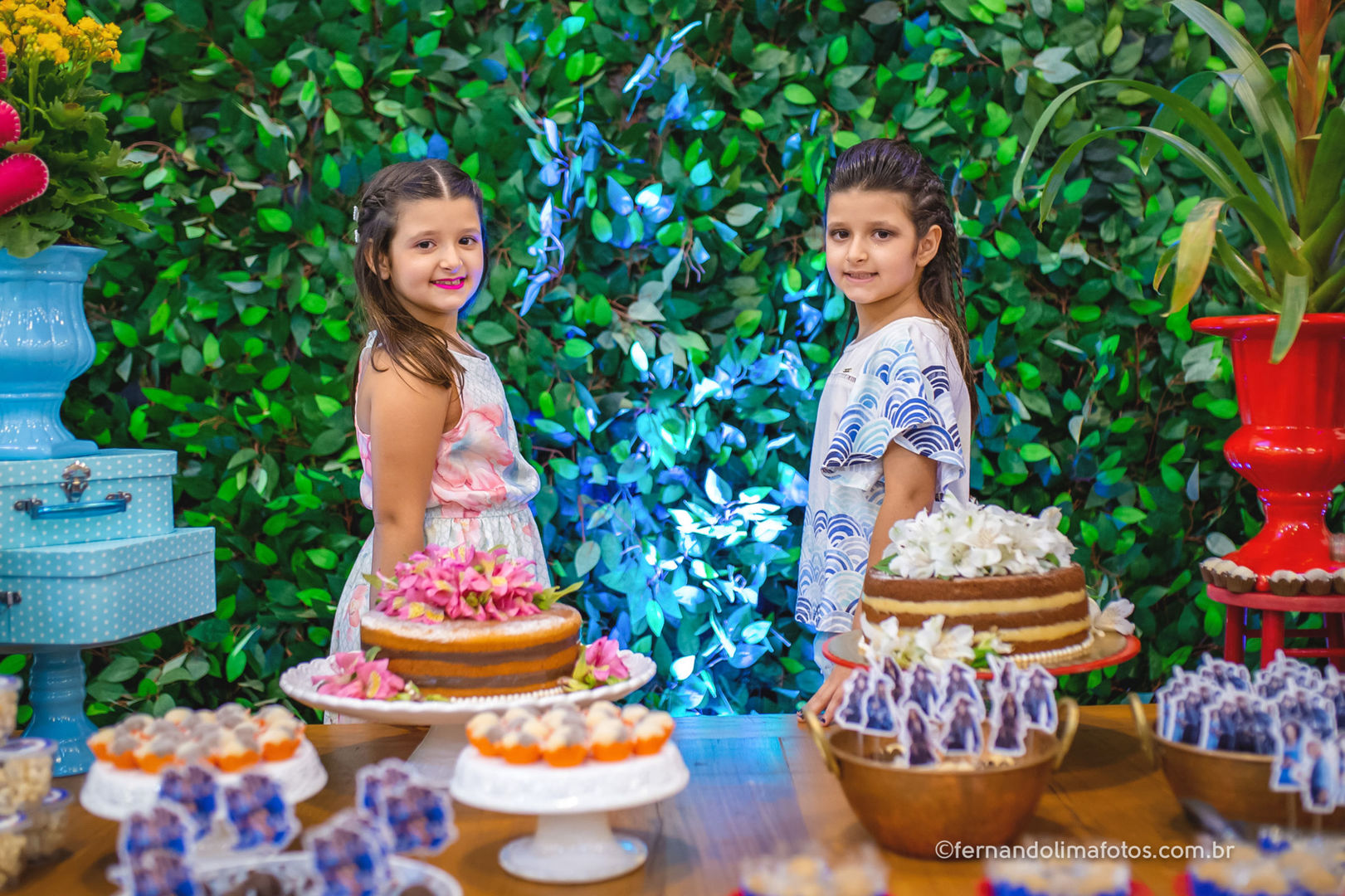 Aniversário gemeas california eventos 123