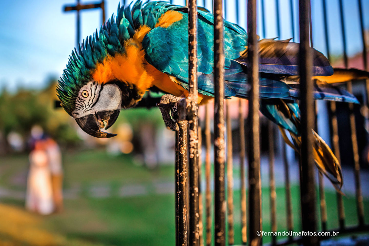 Ensaio Pré Wedding Bruna e Henrique, Estância Monza Birigui 
