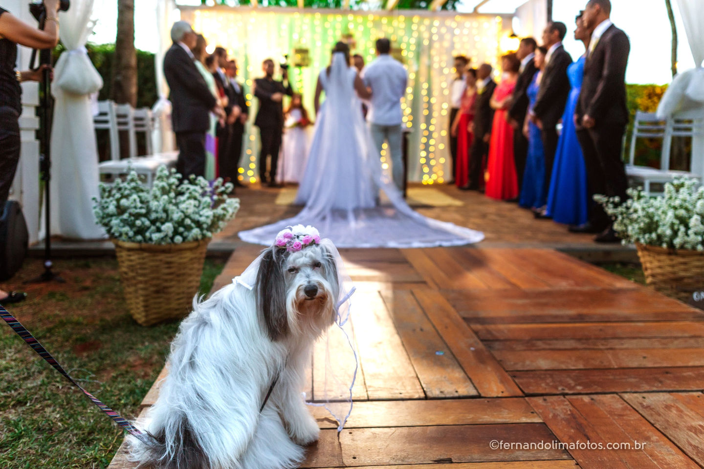 Casamento Ar Livre, Califórnia Eventos  Dayane e Claudio