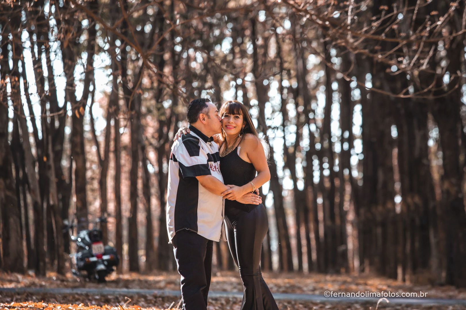 Mag_Osmar1182