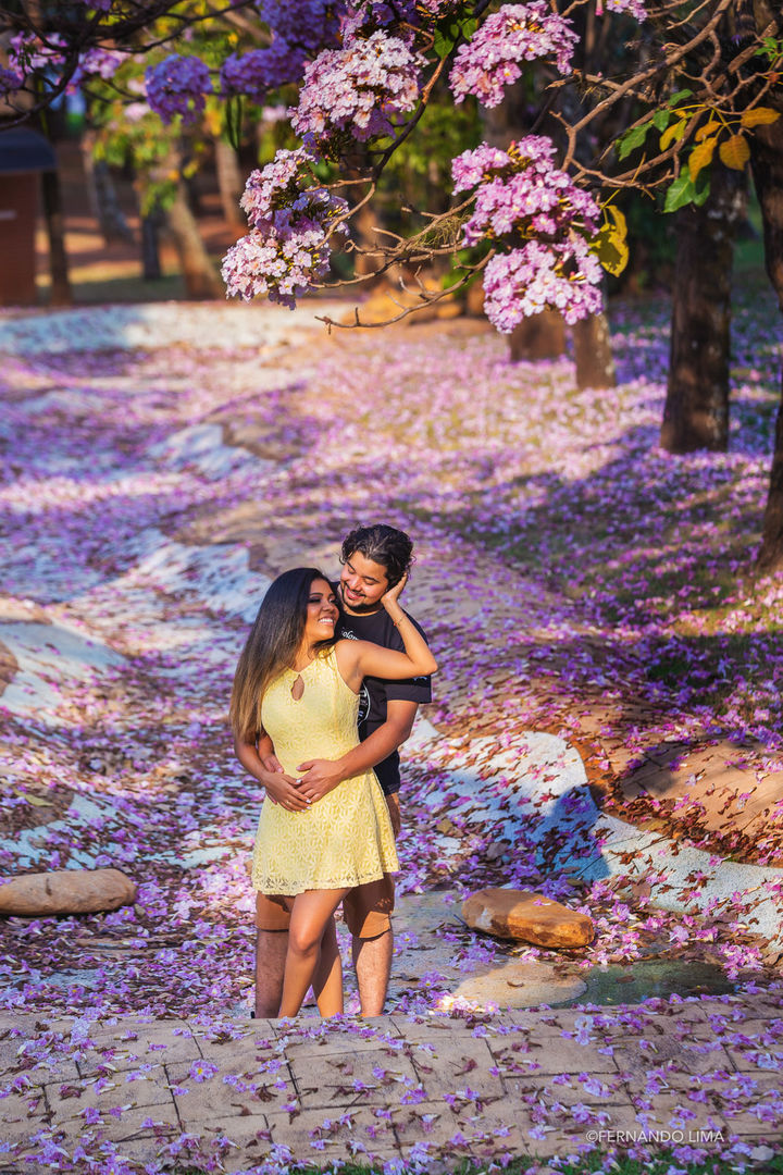 Ana e DAniel 1119