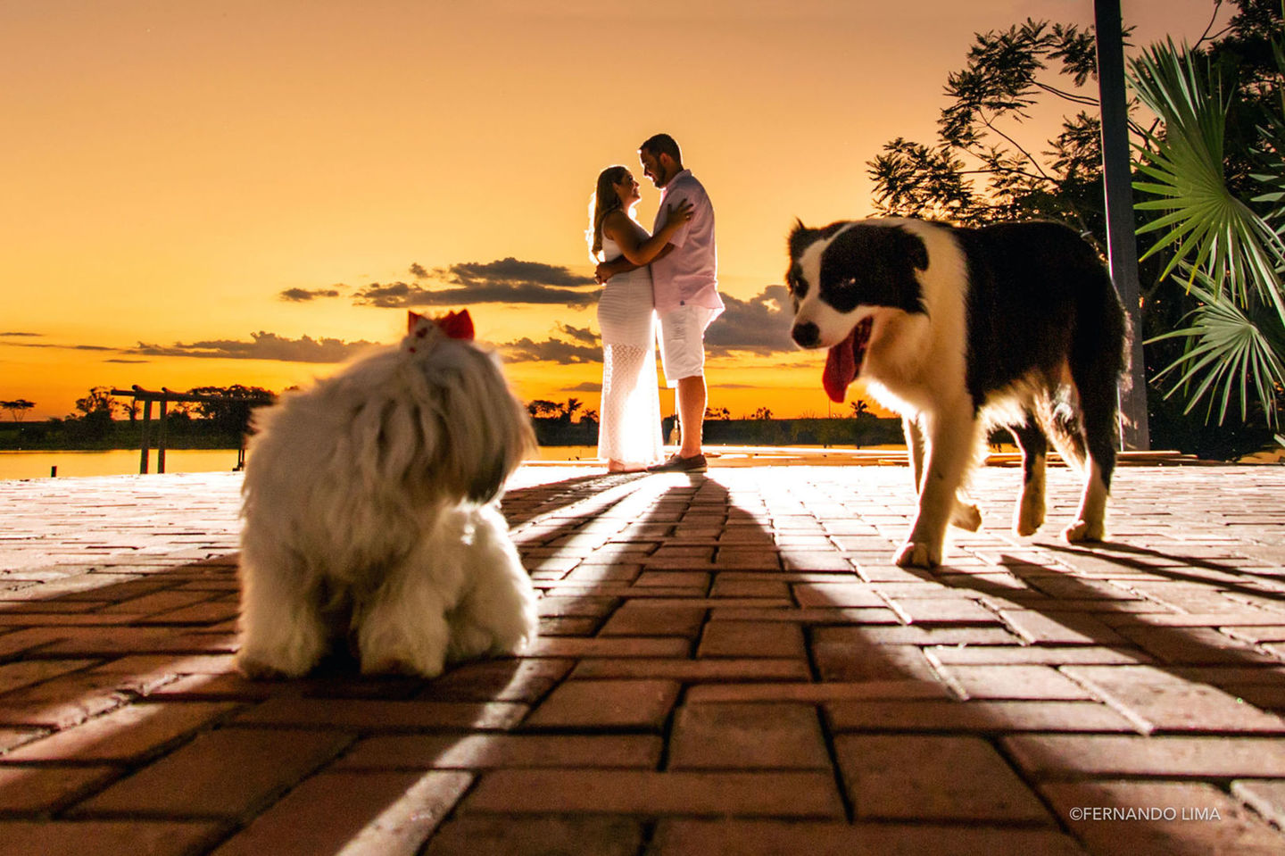 Ensaio Pré Wedding Amanda e Thiago, A Quinta do Sardão, Guararapes SP