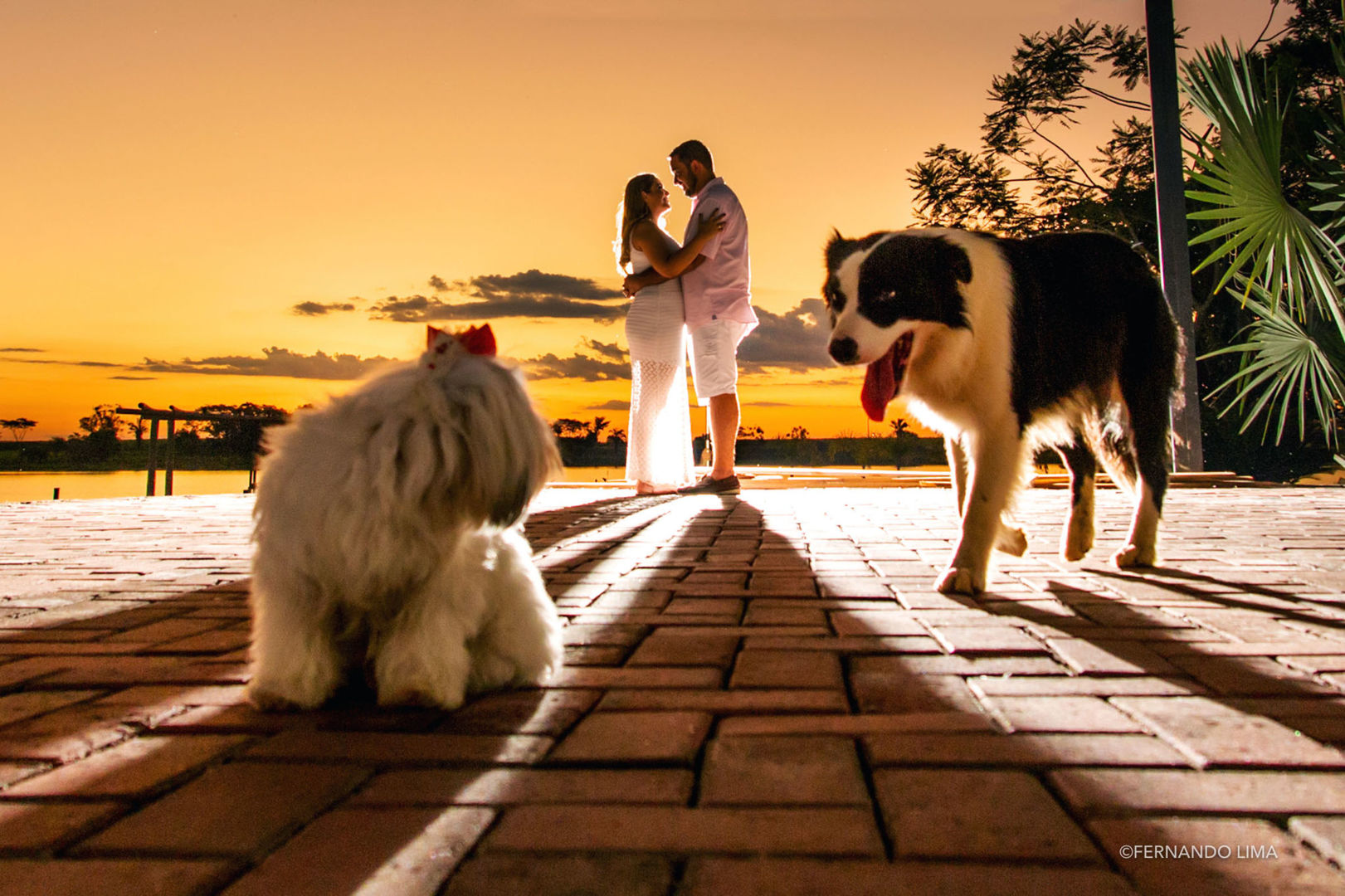 Foto Ensaio Pré Wedding Amanda e Thiago, A Quinta do Sardão, Giuararapes SP Foto Ensaio Pré Wedding Amanda e Thiago, A Quinta do Sardão, Giuararapes SP - Imagem 30