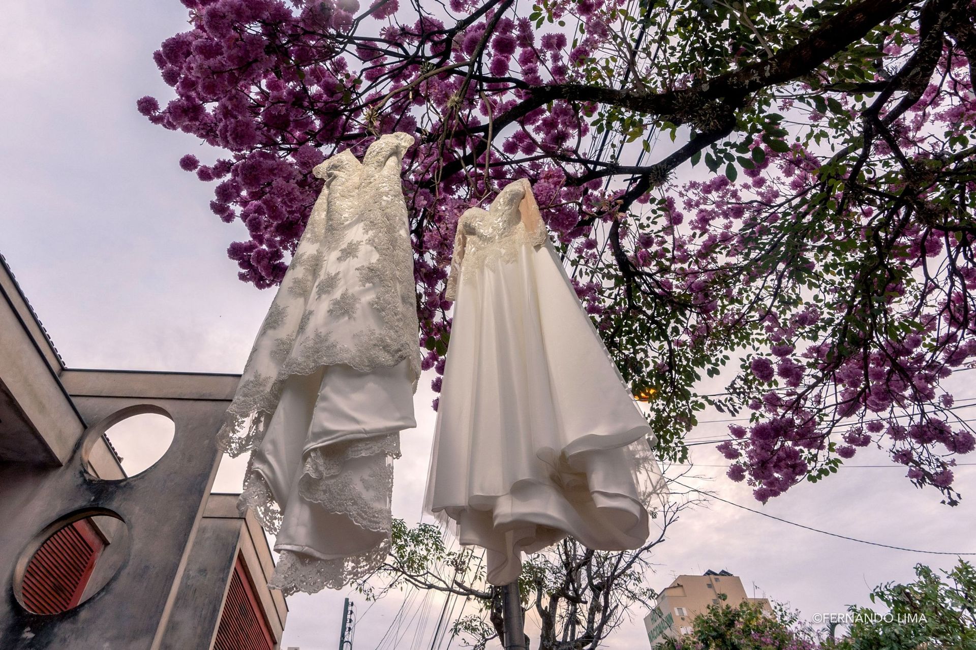 Foto Casamento Maria Angélica e Yandra, Califórnia Eventos Foto Casamento Maria Angélica e Yandra, Califórnia Eventos - Imagem 0