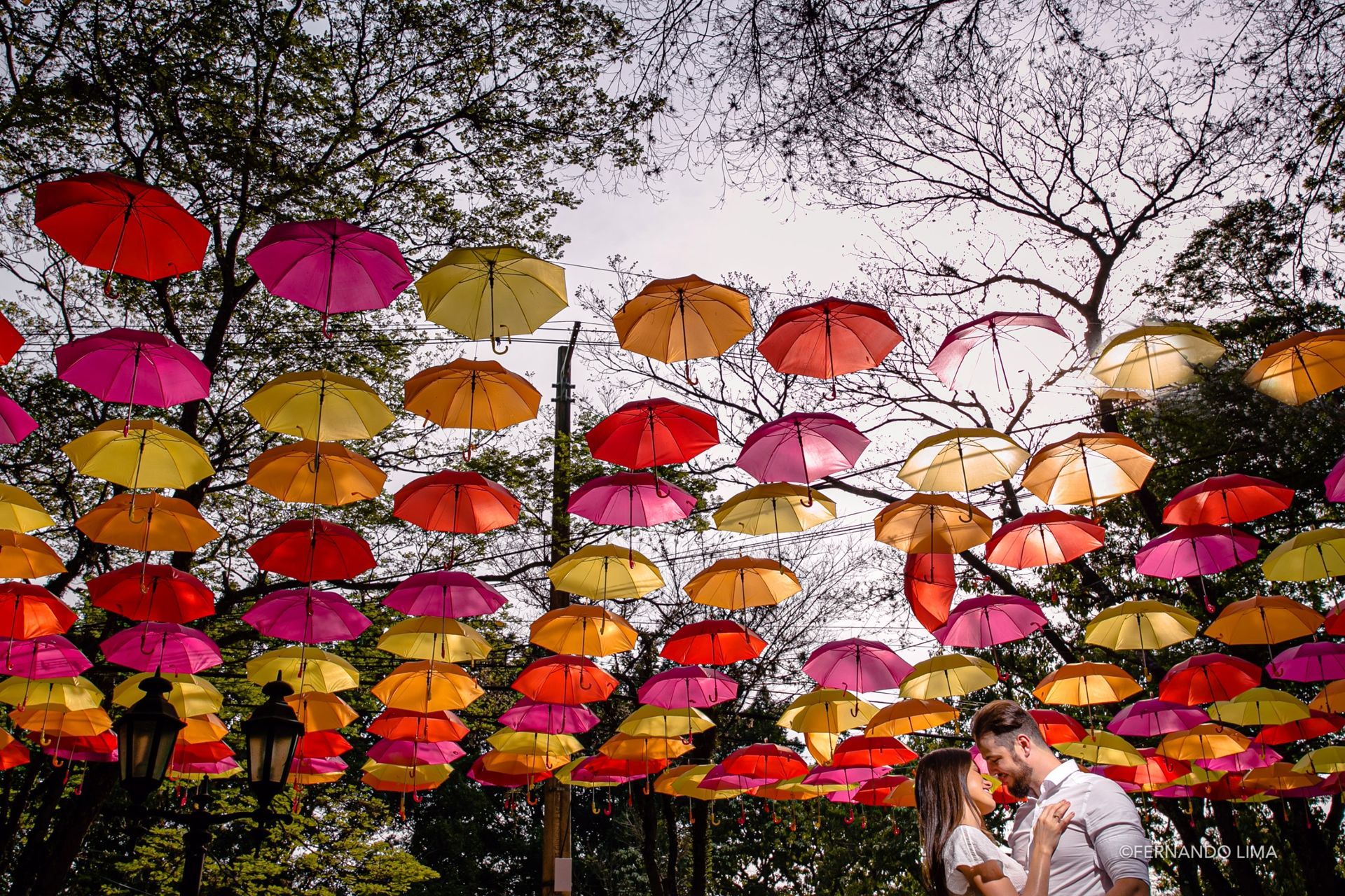 Foto Ensaio de casal, Pré Wedding Fâmila e Felipe, Holambra cidade das Flores Foto Ensaio de casal, Pré Wedding Fâmila e Felipe, Holambra cidade das Flores - Imagem 12