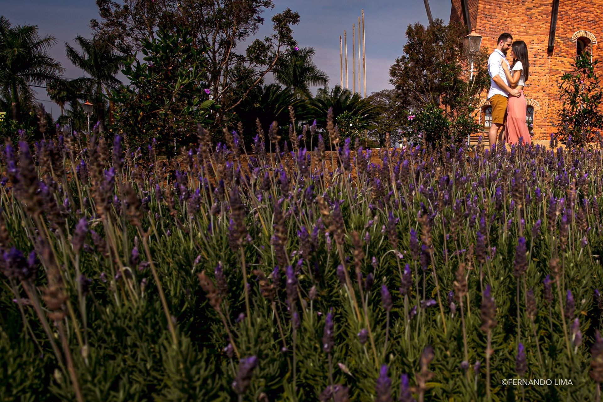 Foto Ensaio de casal, Pré Wedding Fâmila e Felipe, Holambra cidade das Flores Foto Ensaio de casal, Pré Wedding Fâmila e Felipe, Holambra cidade das Flores - Imagem 8