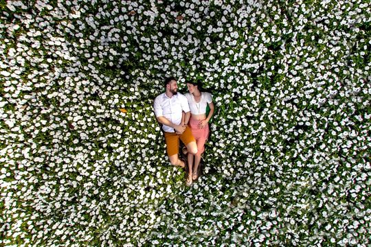 Ensaio de casal, Pré Wedding Fâmila e Felipe, Holambra cidade das Flores Ensaio de casal, Pré Wedding Fâmila e Felipe, Holambra cidade das Flores