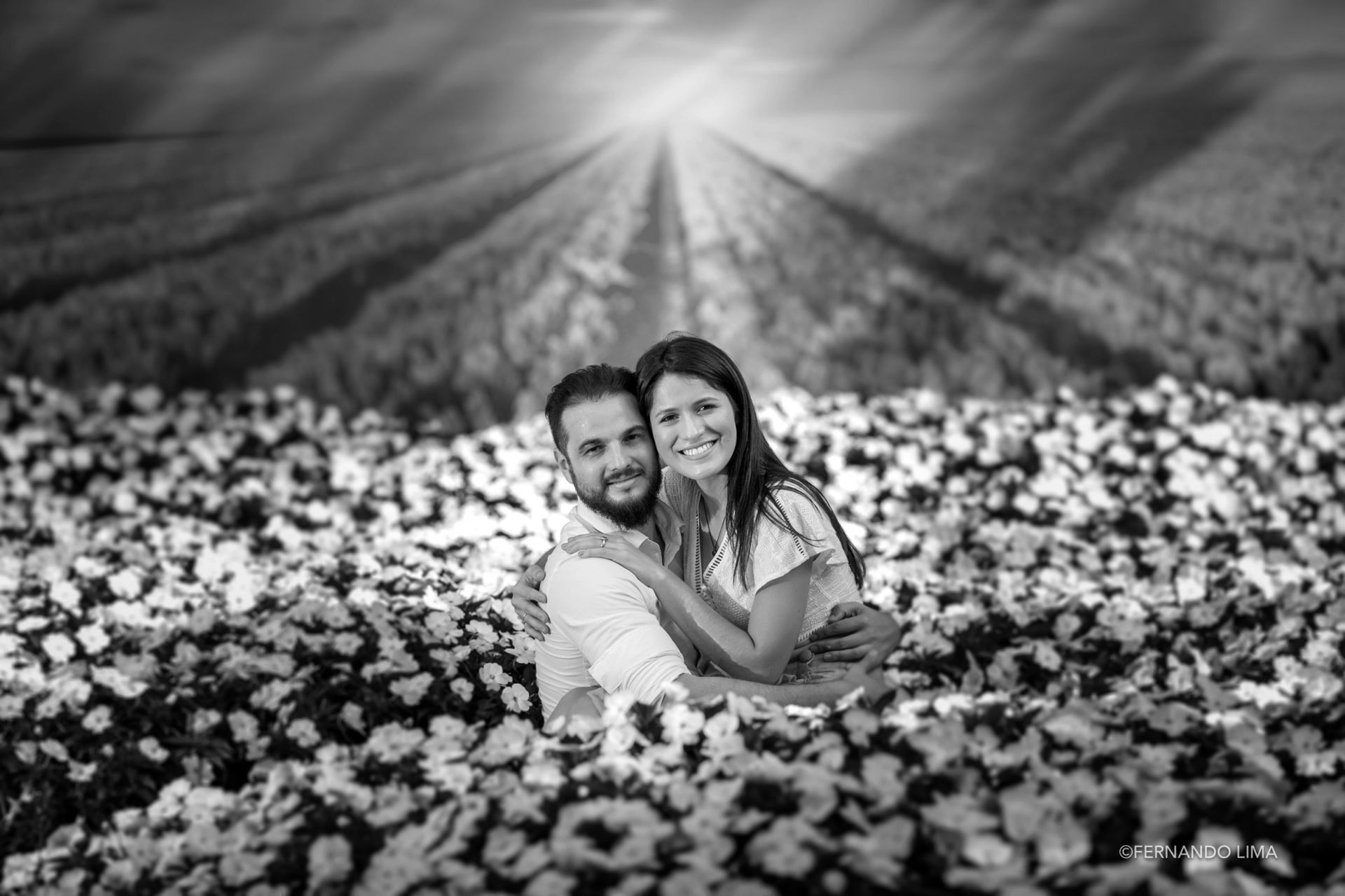 Foto Ensaio de casal, Pré Wedding Fâmila e Felipe, Holambra cidade das Flores Foto Ensaio de casal, Pré Wedding Fâmila e Felipe, Holambra cidade das Flores - Imagem 10