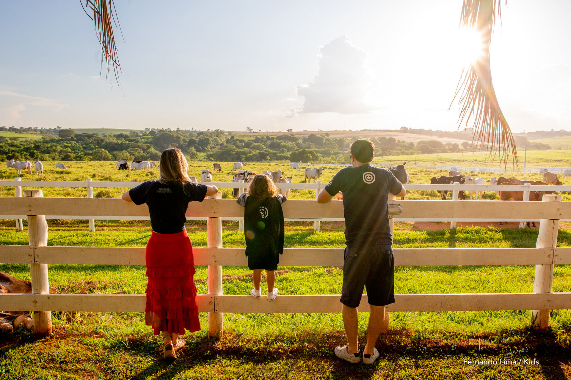 Foto José Pedro 4 anos, Estância Monza  - Imagem 27