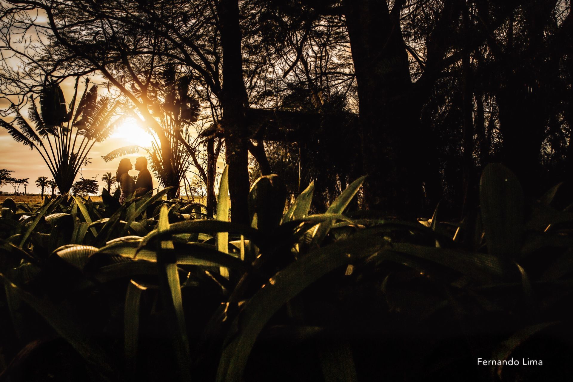 Foto Ensaio de casal, Pré Wedding Regiane e Junio, A Quinta do Sardão  - Imagem 7