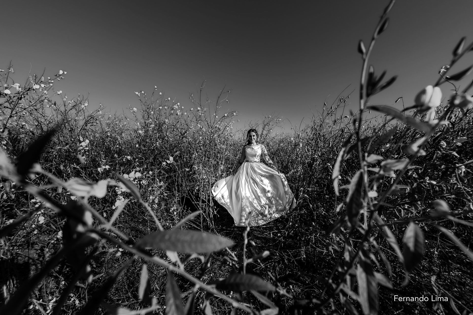 Foto Noiva no Girassol, editorial A Felicidade !!! - Imagem 10