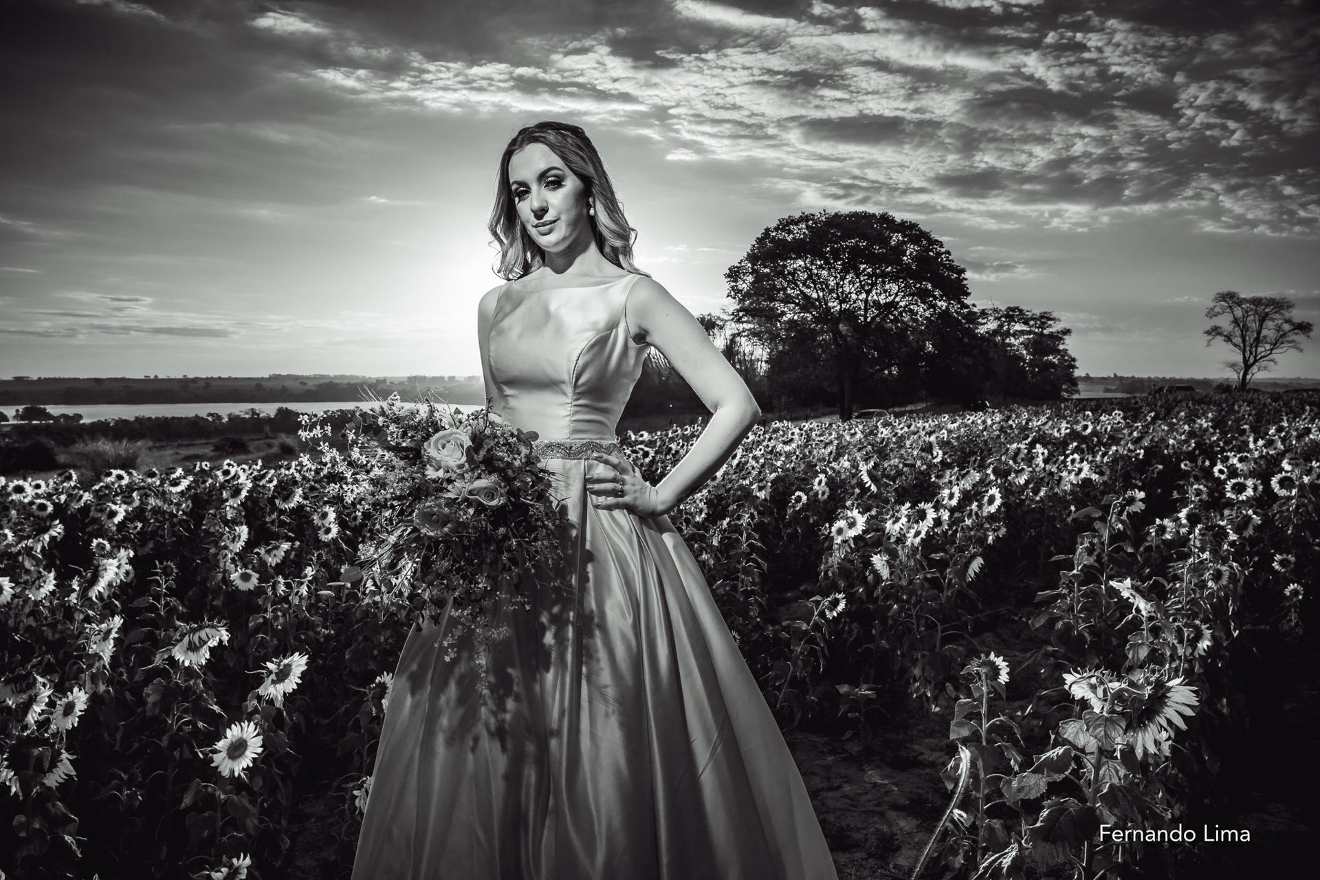 Foto Noiva no Girassol, editorial A Felicidade !!! - Imagem 32