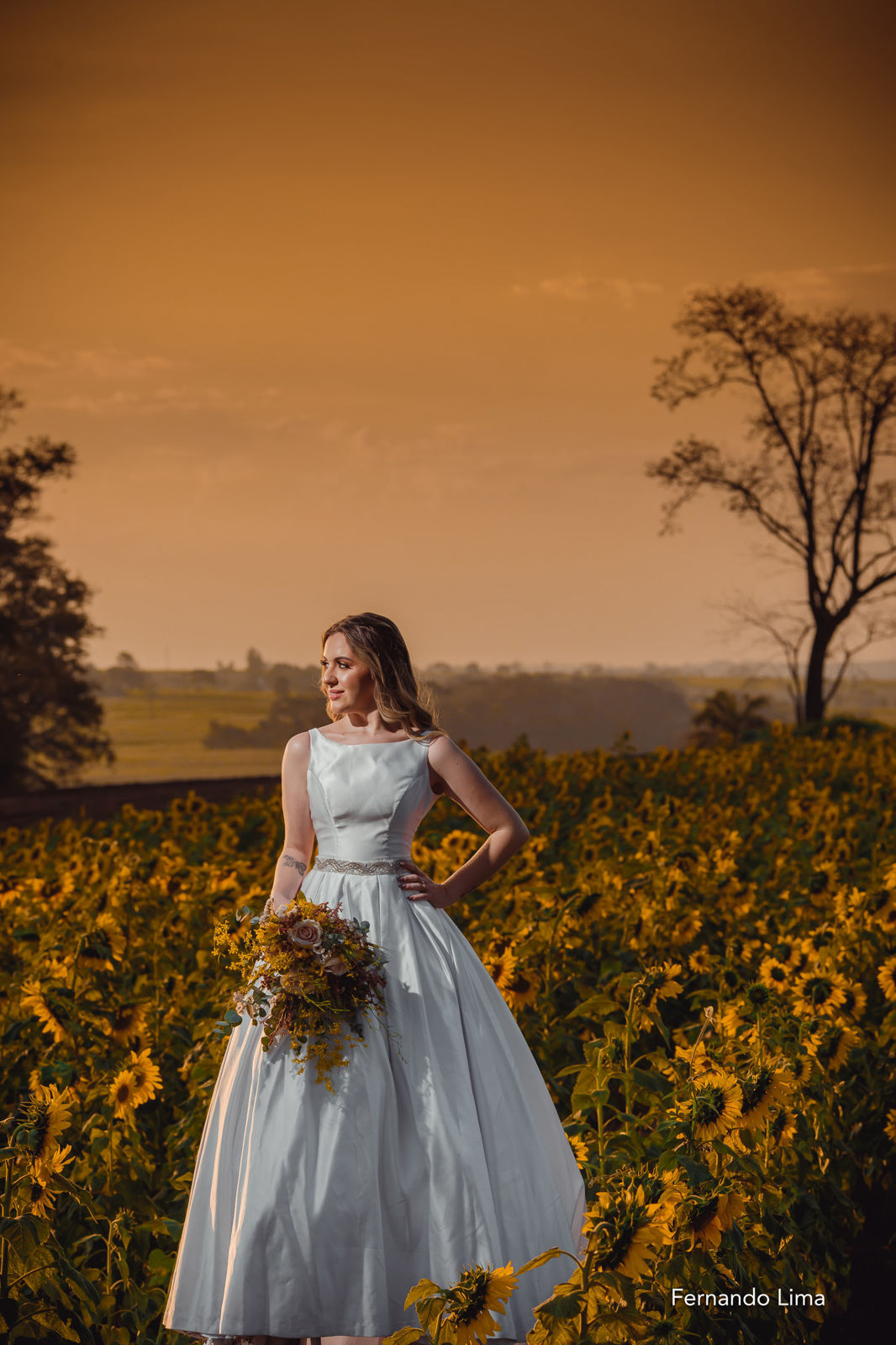 Foto Noiva no Girassol, editorial A Felicidade !!! - Imagem 31