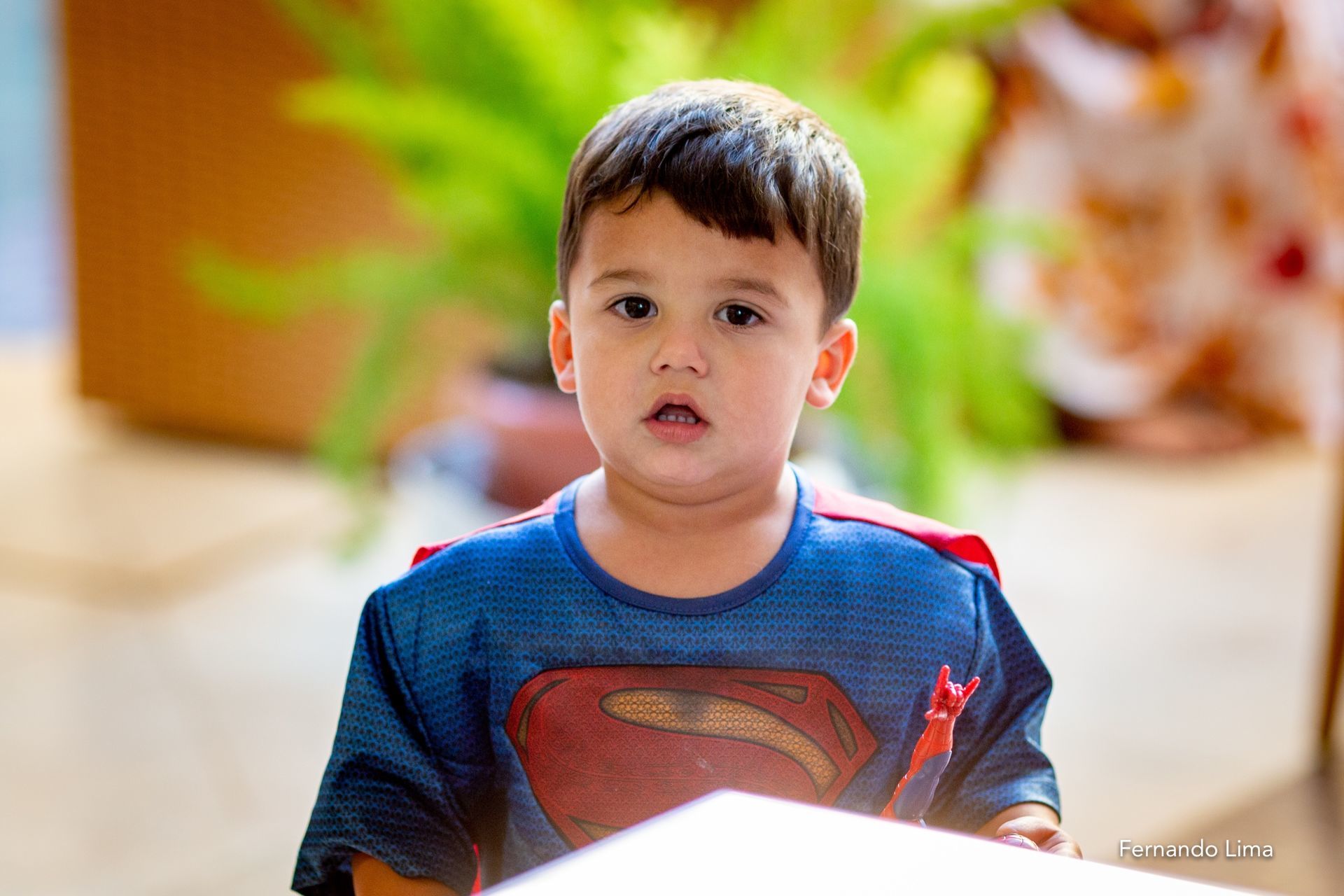 Foto Aniversário Antonio 4 anos e Joaquim 2 anos, Condomínio Gávea Birigui SP - Imagem 11