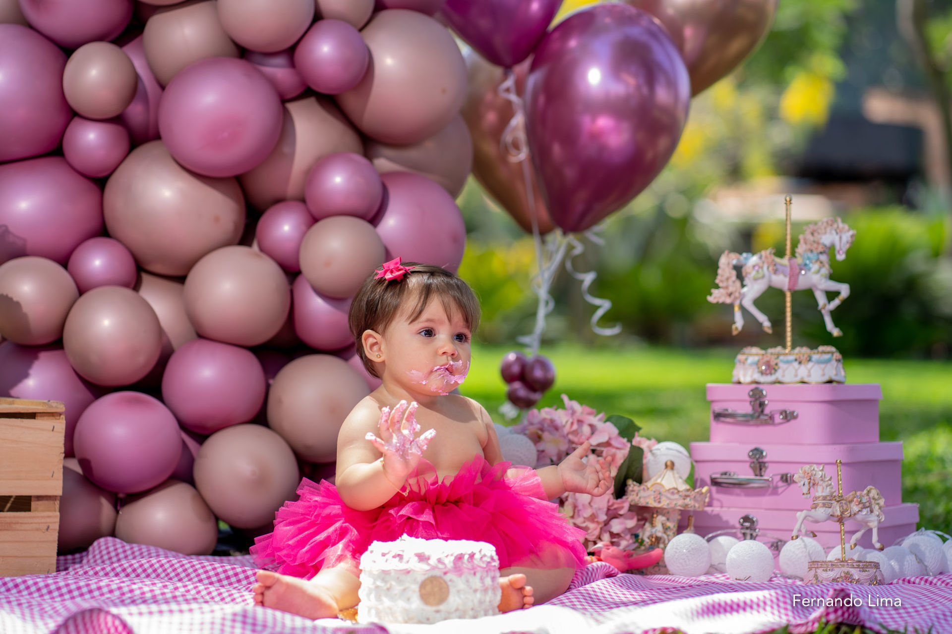 Foto Luiza smash the cake, A quinta do Sardão Foto Luiza smash the cake, A quinta do Sardão - Imagem 25