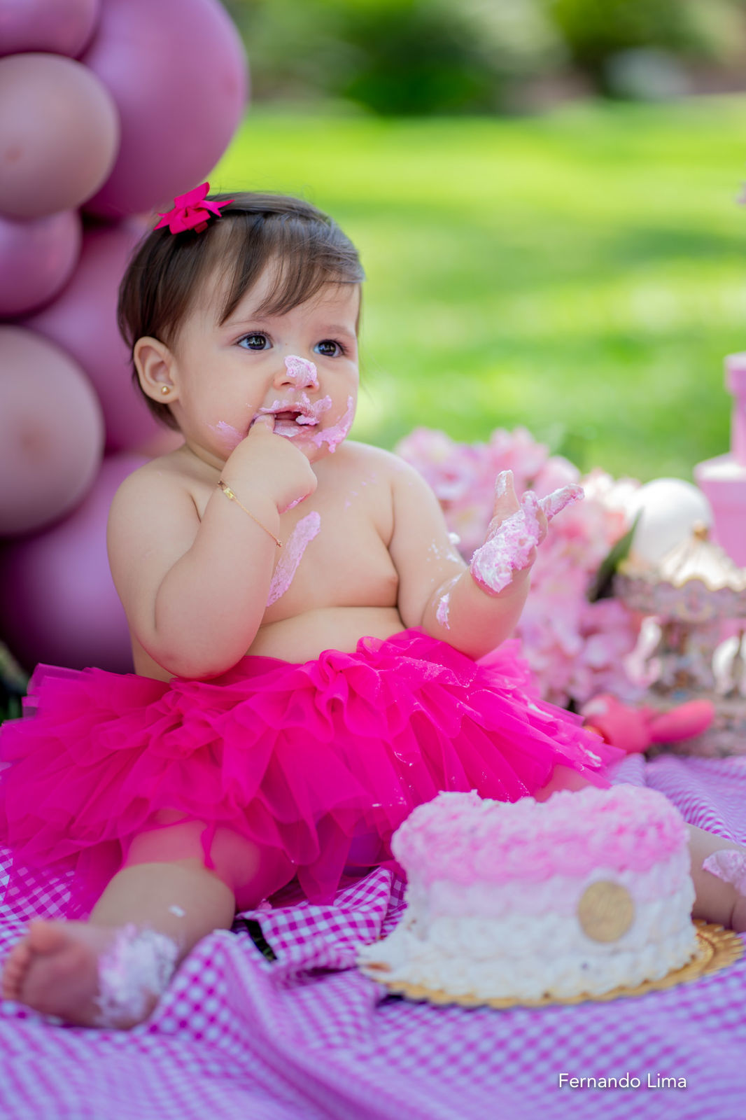 Foto Luiza smash the cake, A quinta do Sardão Foto Luiza smash the cake, A quinta do Sardão - Imagem 37