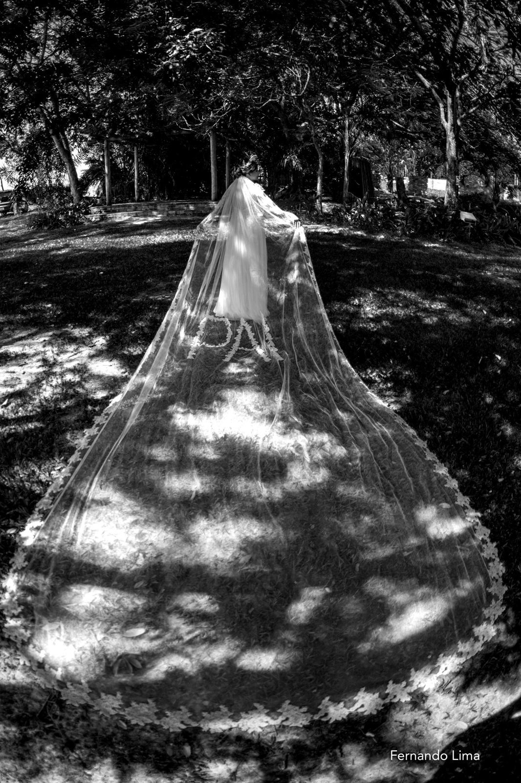Foto Micro Wedding A Quinta do Sardão, Paula e Kerleston Foto Micro Wedding A Quinta do Sardão, Paula e Kerleston - Imagem 65