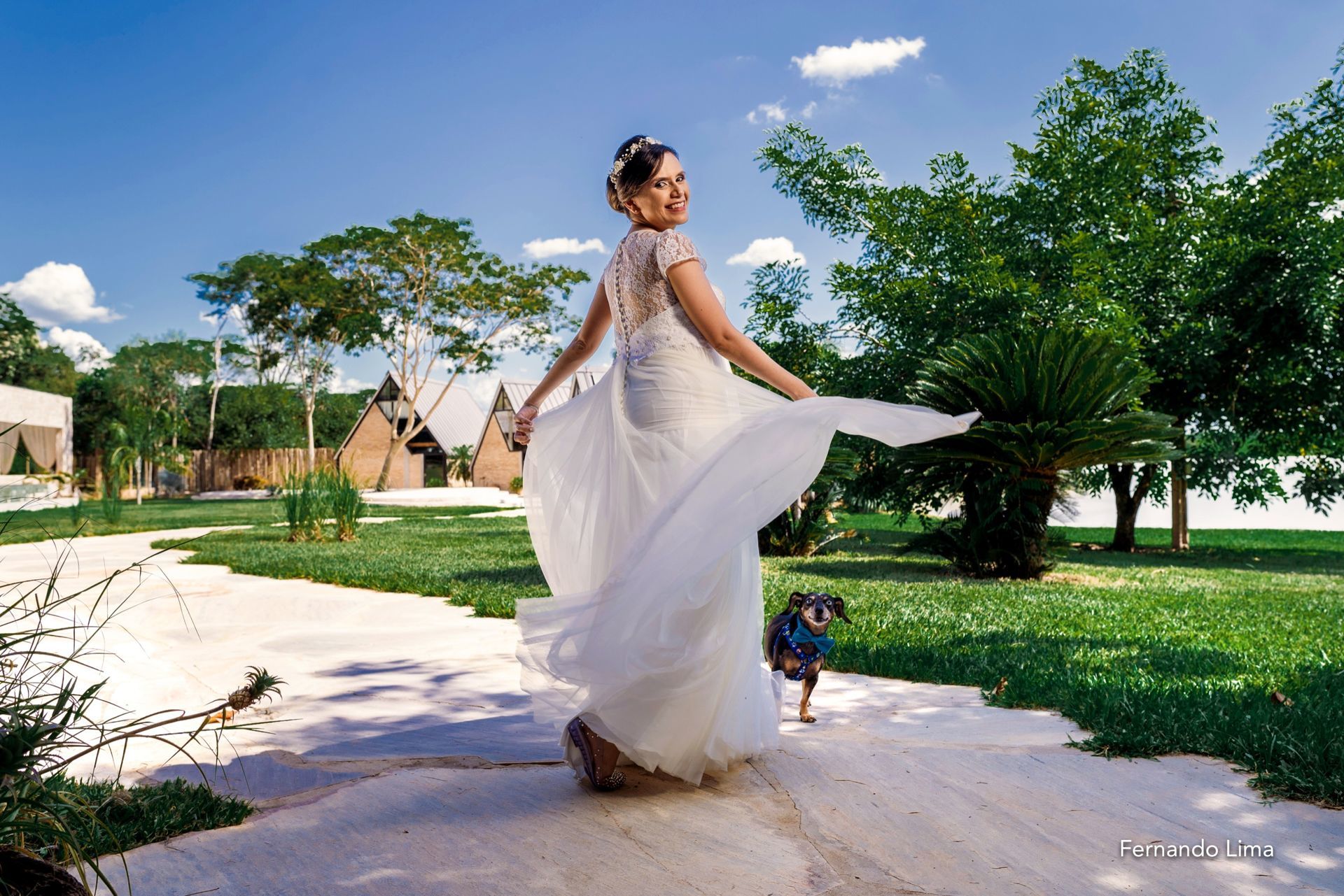 Foto Micro Wedding A Quinta do Sardão, Paula e Kerleston Foto Micro Wedding A Quinta do Sardão, Paula e Kerleston - Imagem 62