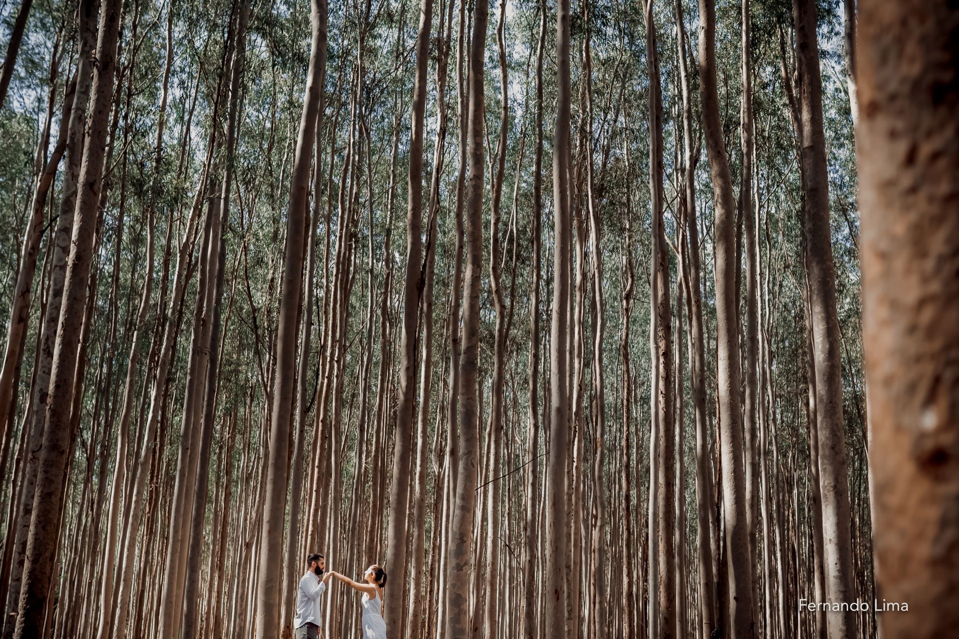 Foto ENSAIO DE CASAL, PRÉ WEDDING NADINE E ALAN, A QUINTA DO SARDÃO GUARARAPES SP Foto ENSAIO DE CASAL, PRÉ WEDDING NADINE E ALAN, A QUINTA DO SARDÃO GUARARAPES SP - Imagem 8