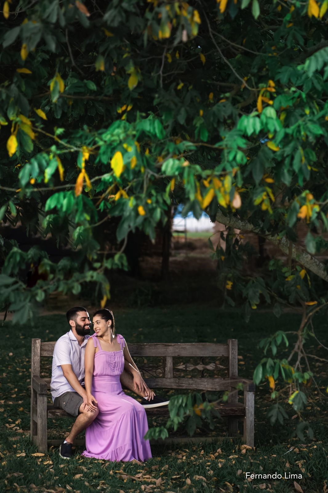 Foto ENSAIO DE CASAL, PRÉ WEDDING NADINE E ALAN, A QUINTA DO SARDÃO GUARARAPES SP Foto ENSAIO DE CASAL, PRÉ WEDDING NADINE E ALAN, A QUINTA DO SARDÃO GUARARAPES SP - Imagem 33
