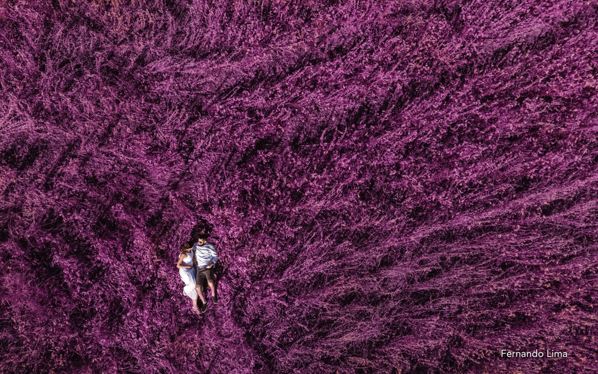 Foto FOTOS E VIDEOS COM DRONE EM ARAÇATUBA E REGIÃO Foto FOTOS E VIDEOS COM DRONE EM ARAÇATUBA E REGIÃO - Imagem 12