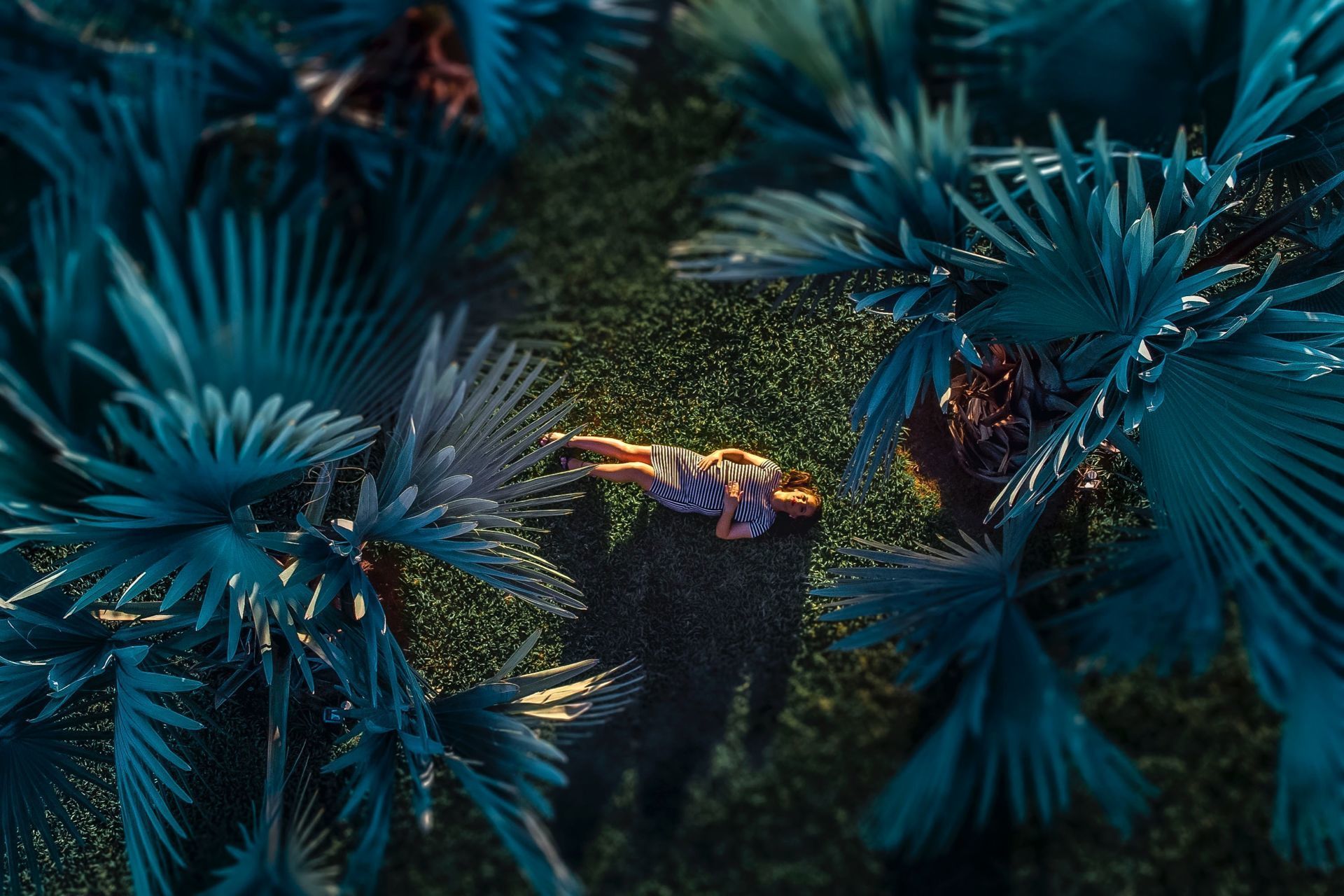 Foto FOTOS E VIDEOS COM DRONE EM ARAÇATUBA E REGIÃO Foto FOTOS E VIDEOS COM DRONE EM ARAÇATUBA E REGIÃO - Imagem 15