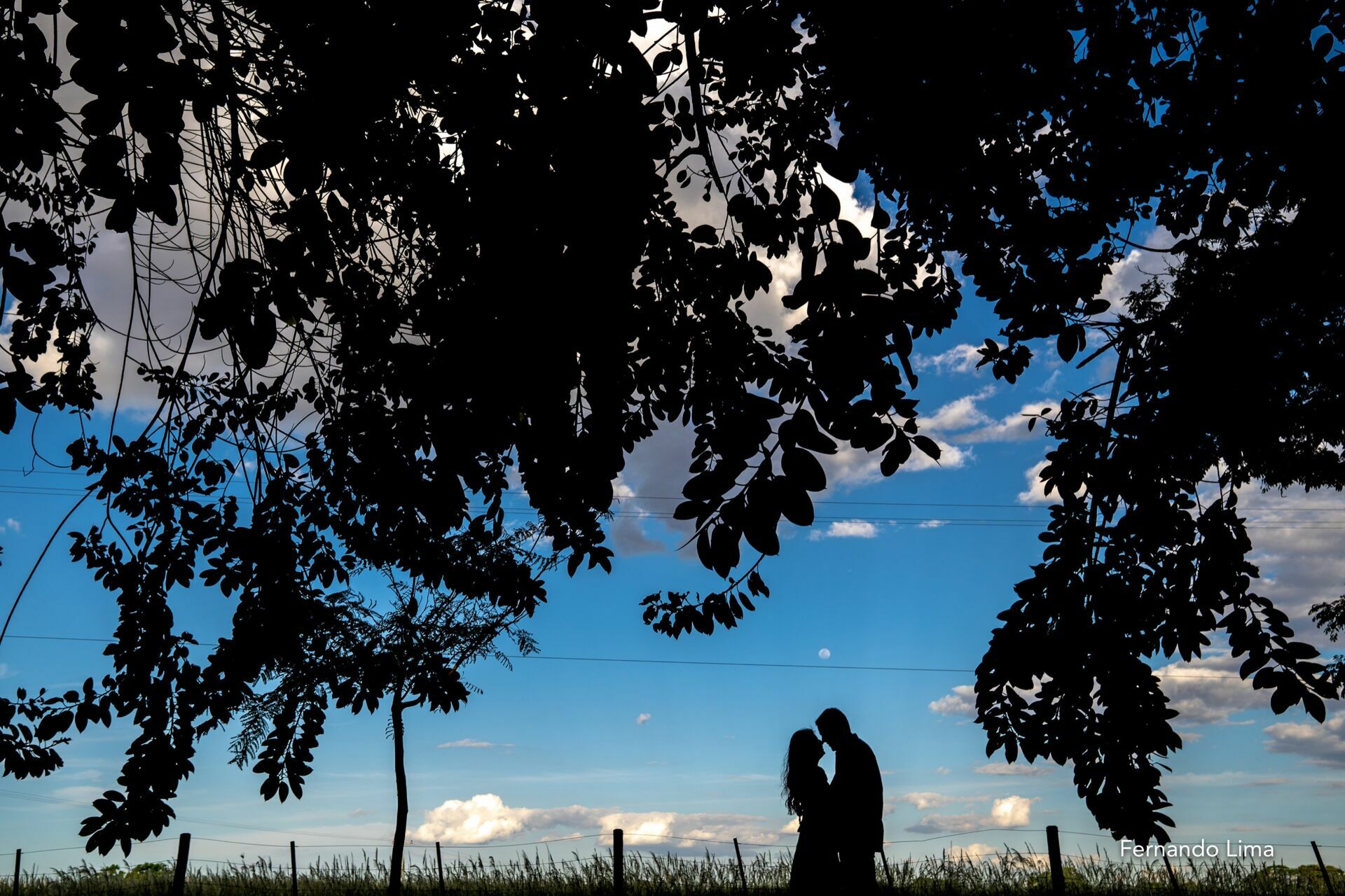Foto ENSAIO DE CASAL, PRÉ WEDDING FRAN E CARLINHOS, A QUINTA DO SARDÃO Foto ENSAIO DE CASAL, PRÉ WEDDING FRAN E CARLINHOS, A QUINTA DO SARDÃO - Imagem 13