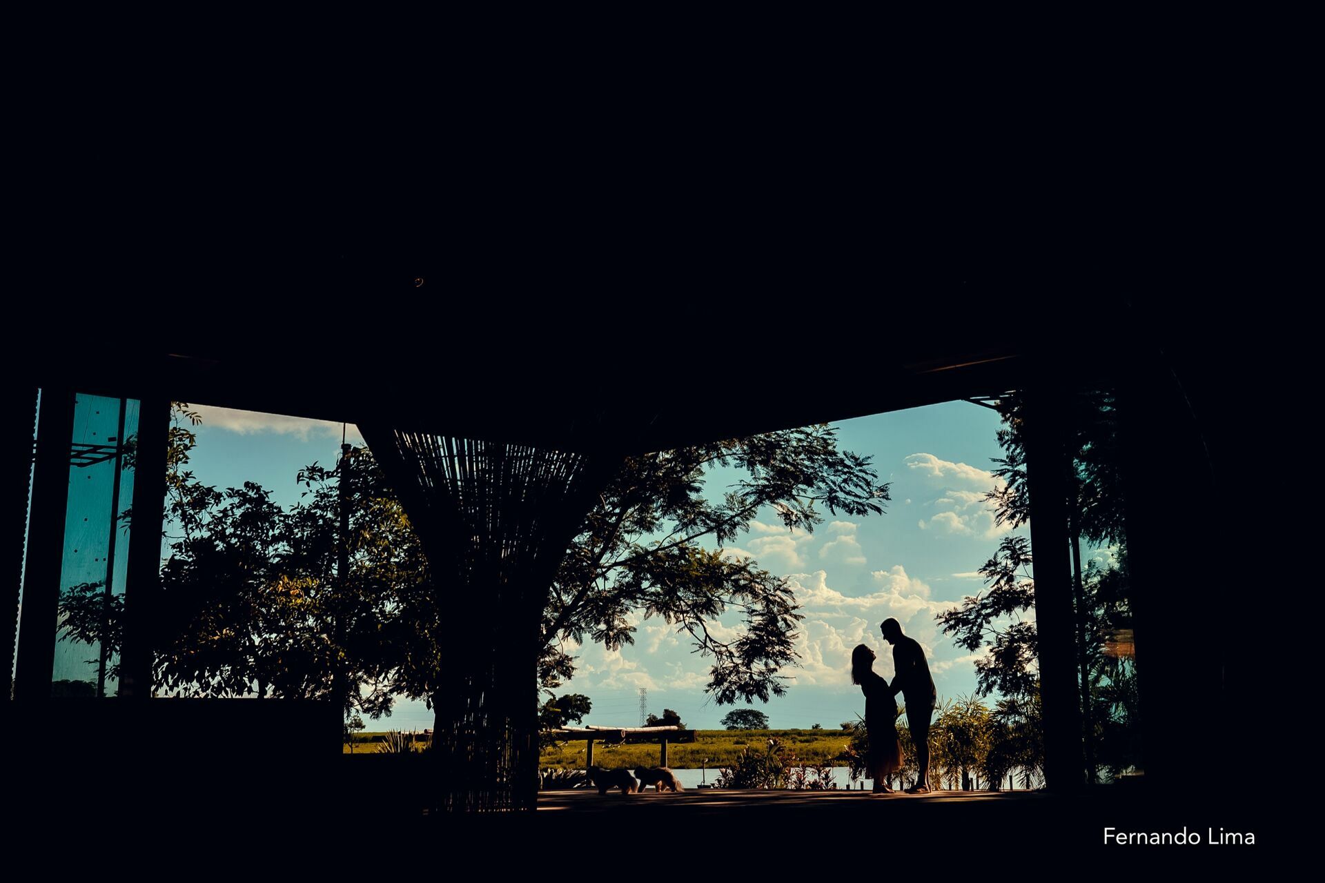 Foto A DOCE ESPERA DA MARIANA, A QUINTA DO SARDÃO Foto A DOCE ESPERA DA MARIANA, A QUINTA DO SARDÃO - Imagem 7