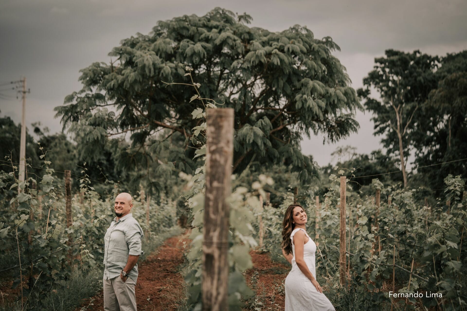 Foto ENSAIO DE CASAL, PRÉ WEDDING ALINE E JUNIO Foto ENSAIO DE CASAL, PRÉ WEDDING ALINE E JUNIO - Imagem 13