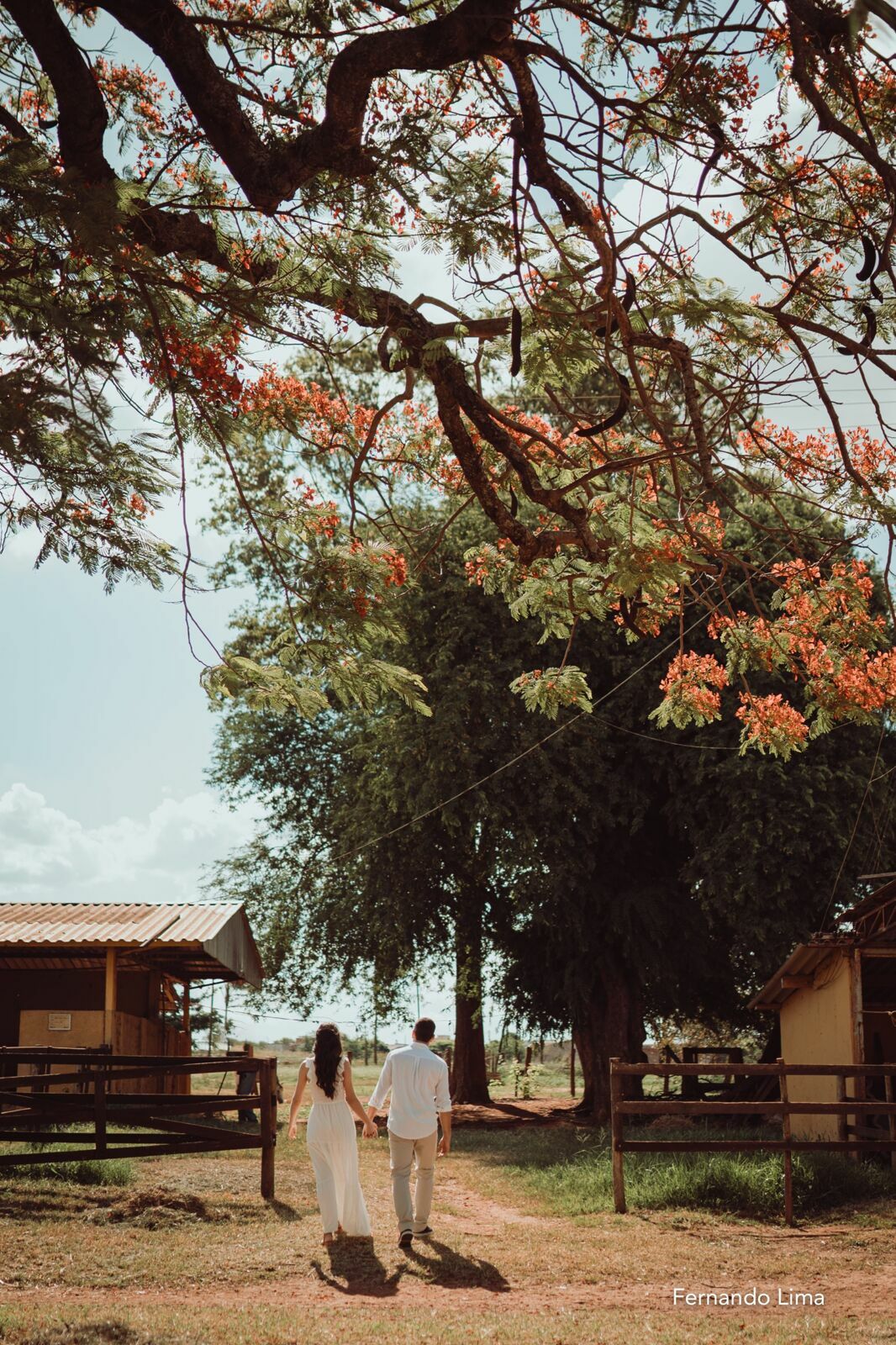 Foto ENSAIO DE CASAL, PRÉ WEDDING VANESSA E RODRIGO - HARAS - Imagem 7