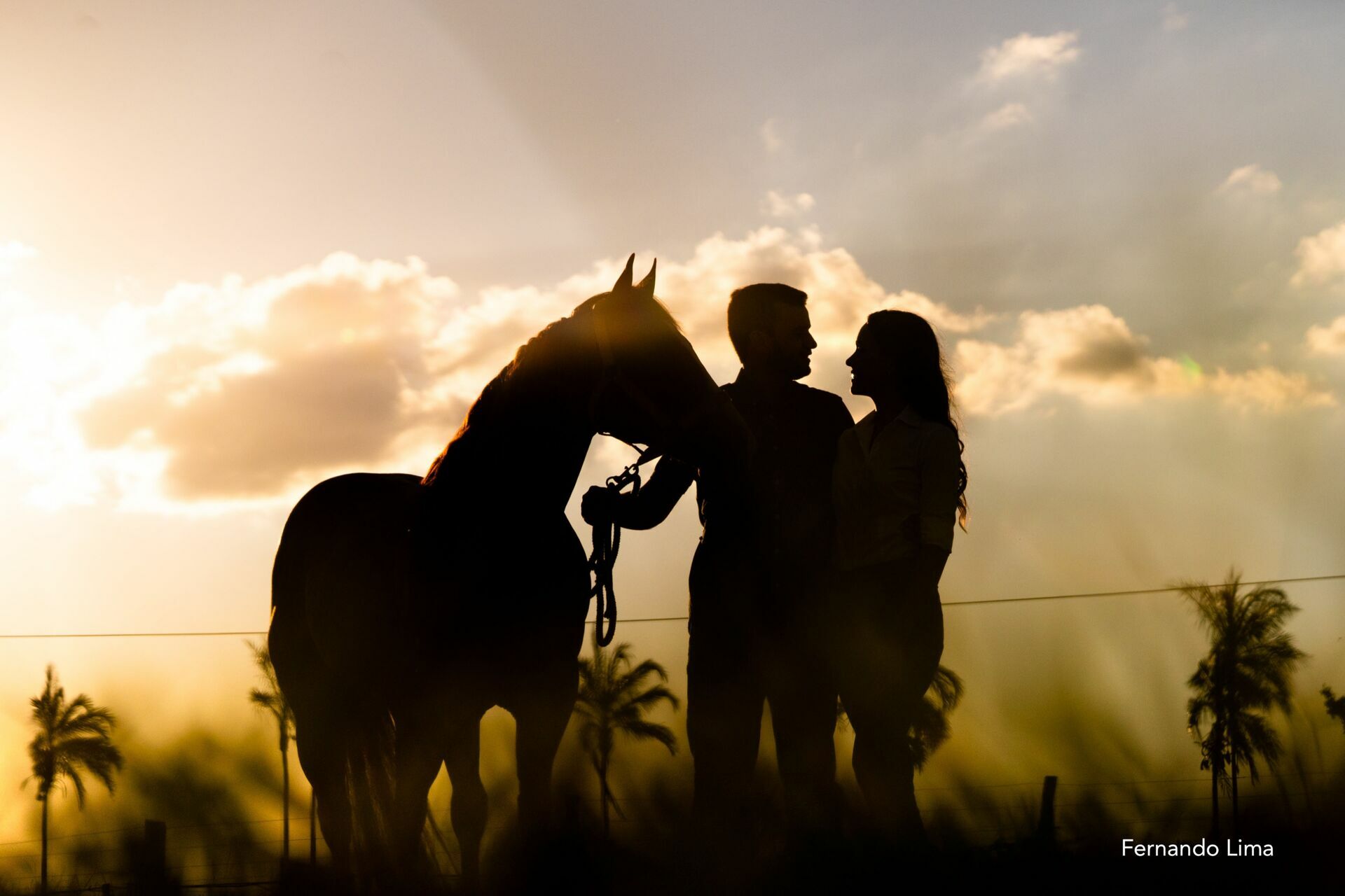 Foto ENSAIO DE CASAL, PRÉ WEDDING VANESSA E RODRIGO - HARAS - Imagem 33