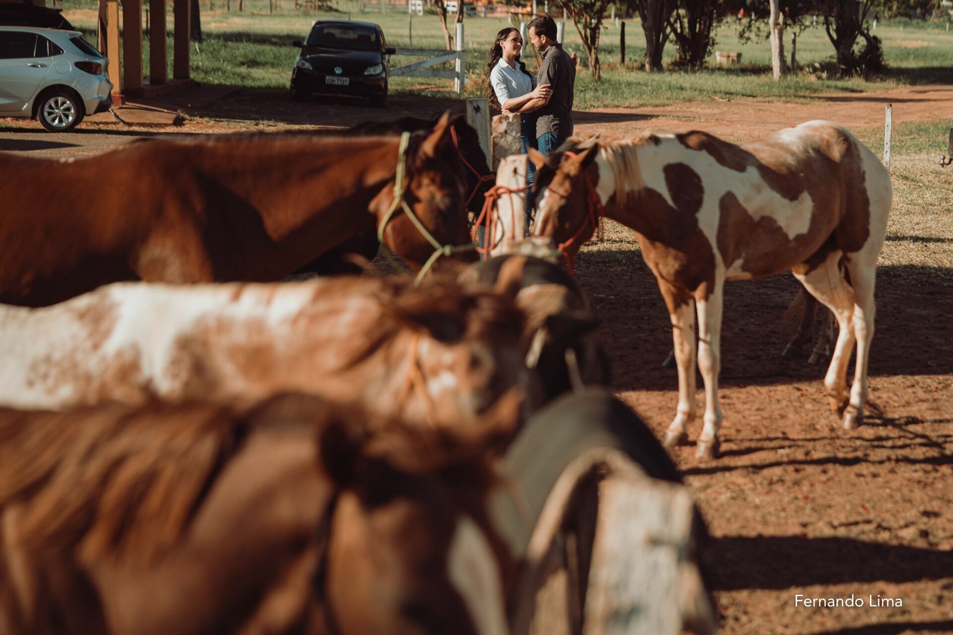 Foto ENSAIO DE CASAL, PRÉ WEDDING VANESSA E RODRIGO - HARAS - Imagem 25