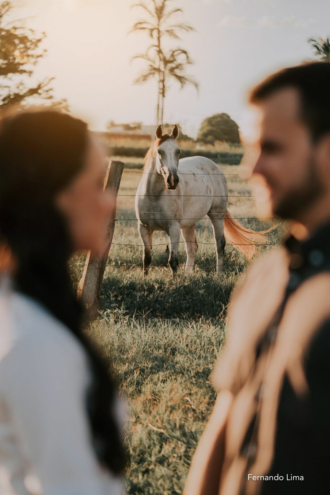 Foto ENSAIO DE CASAL, PRÉ WEDDING VANESSA E RODRIGO - HARAS - Imagem 35