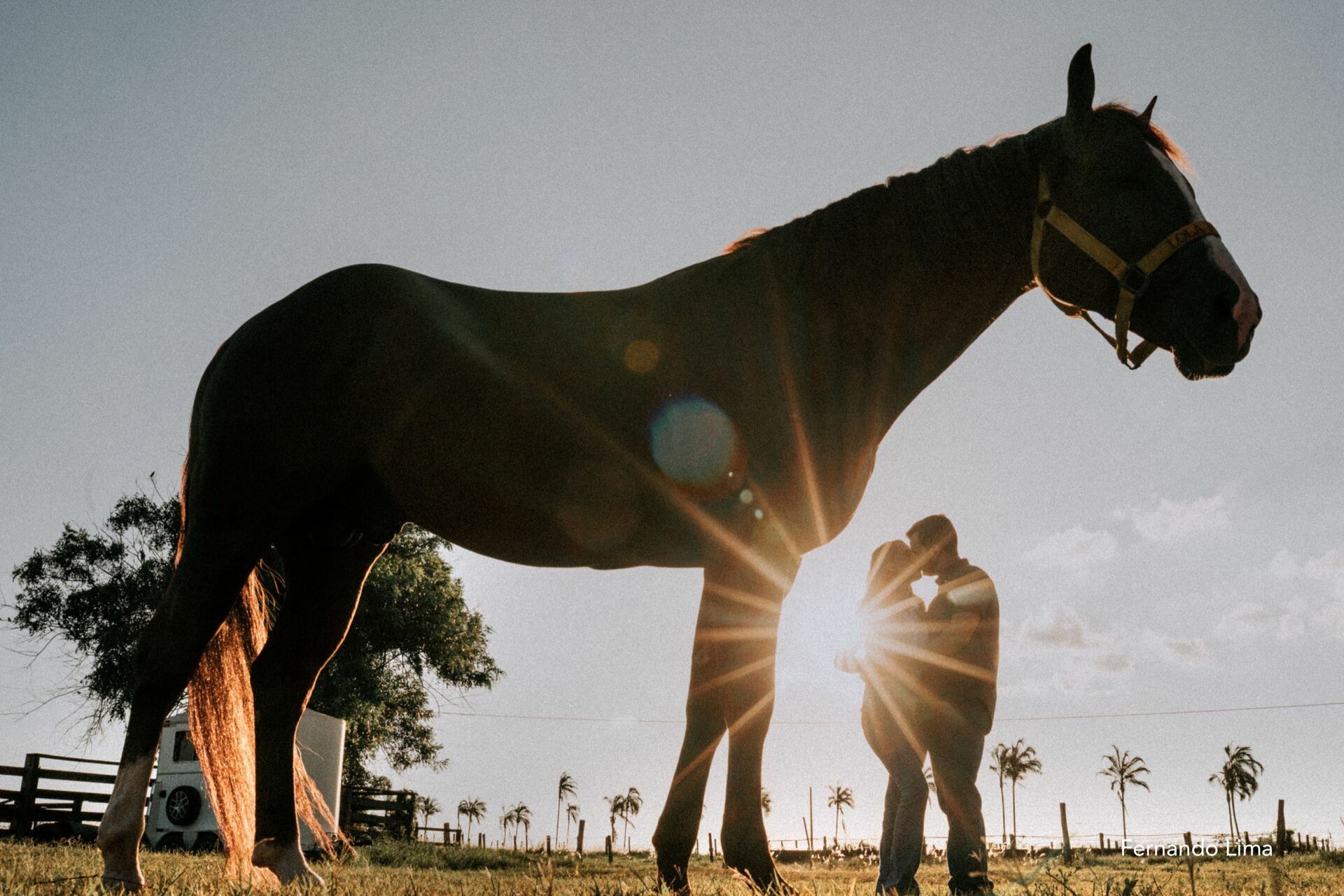 Foto ENSAIO DE CASAL, PRÉ WEDDING VANESSA E RODRIGO - HARAS - Imagem 31