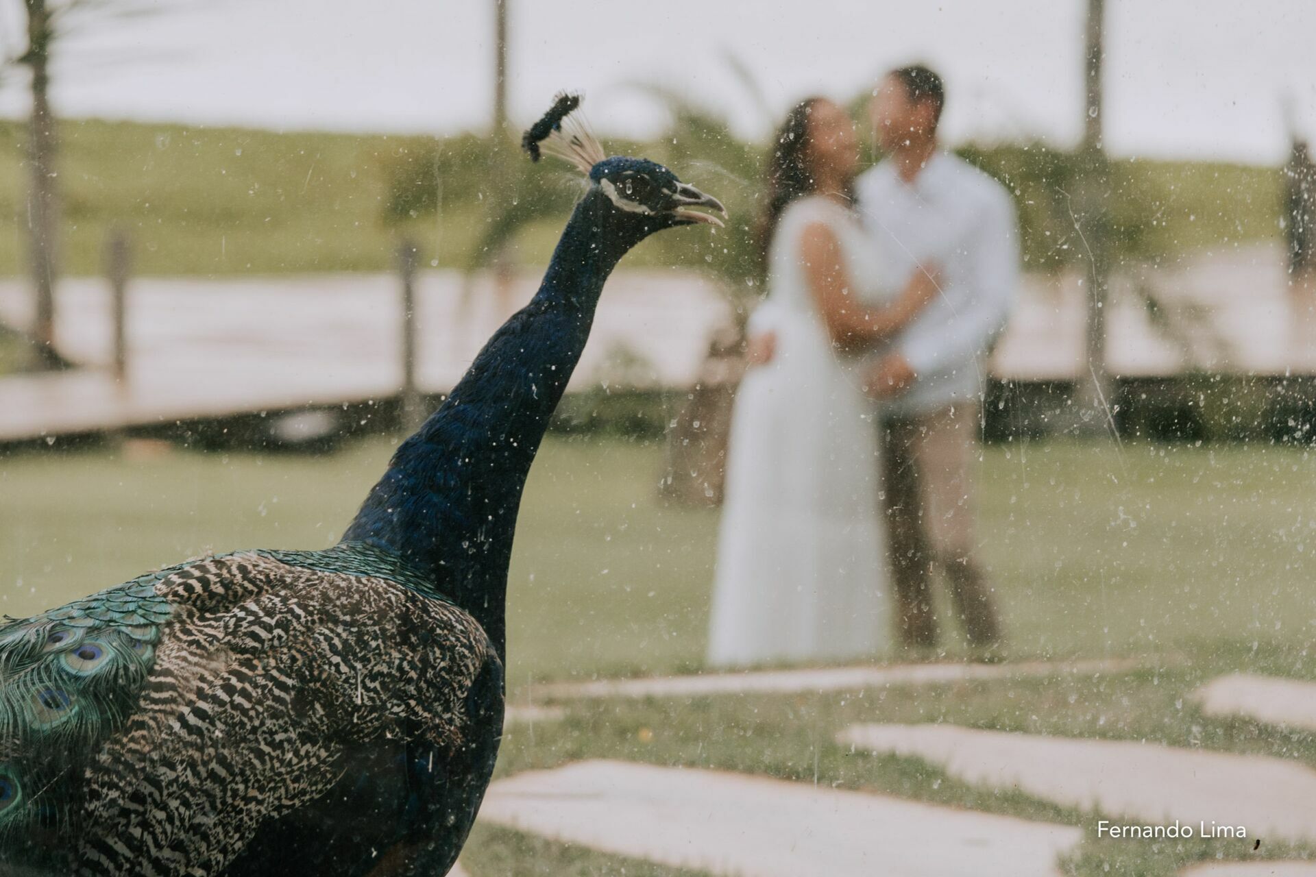 Foto ENSAIO PRÉ WEDDING, FOTOS DE CASAL MARIANA E EDUARDO Foto ENSAIO PRÉ WEDDING, FOTOS DE CASAL MARIANA E EDUARDO - Imagem 8
