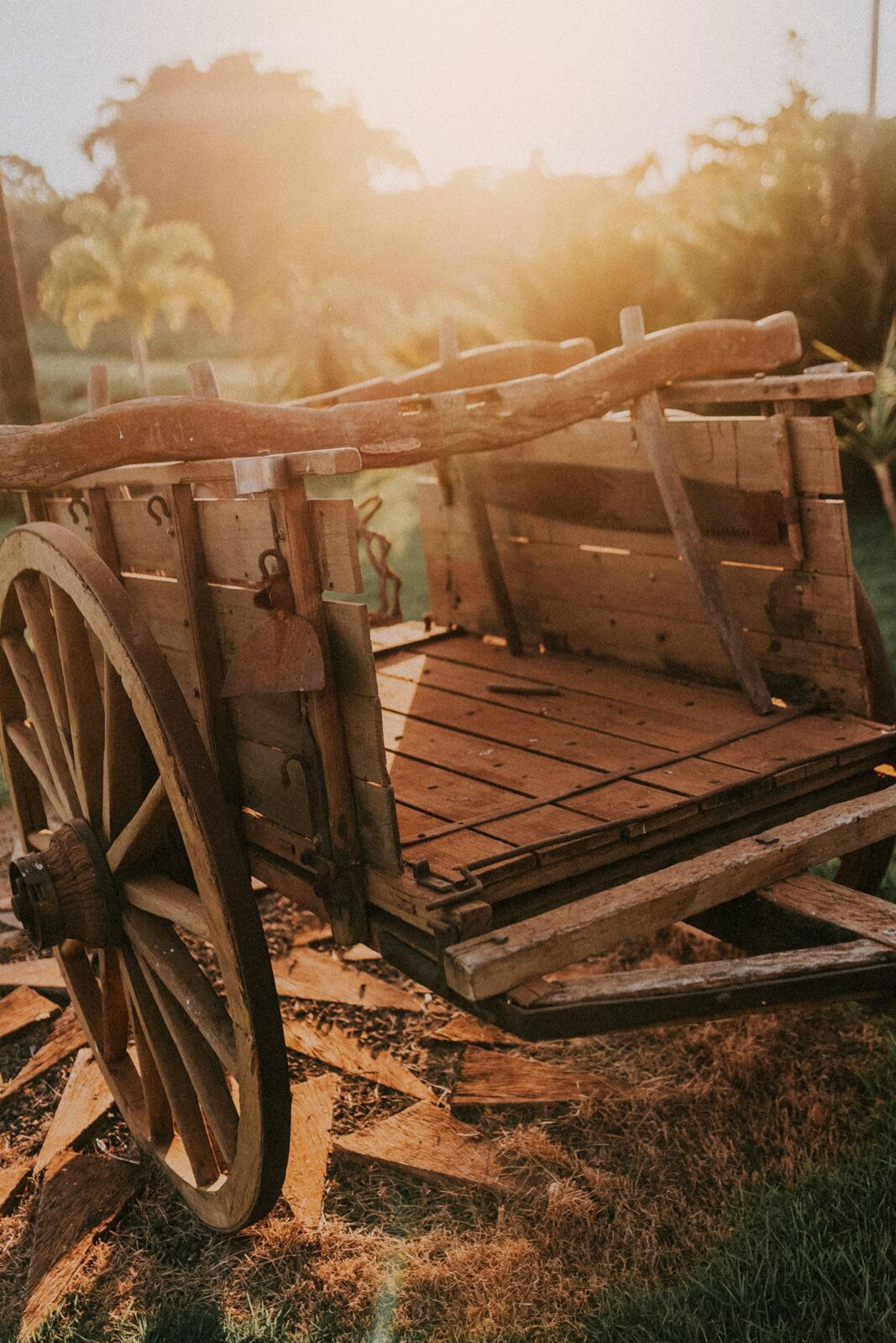 Foto ENSAIO DE CASAL - PRÉ WEDDING GABRIELA E JR - PORTAL DO LAGO - Imagem 26