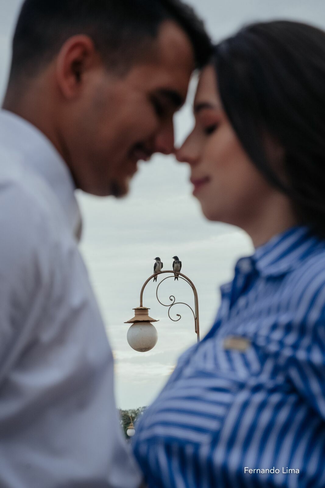 Foto ENSAIO DE GESTANTE, GRÁVIDA ARAÇATUBA ANA E CRISTIAN Foto ENSAIO DE GESTANTE, GRÁVIDA ARAÇATUBA ANA E CRISTIAN - Imagem 11