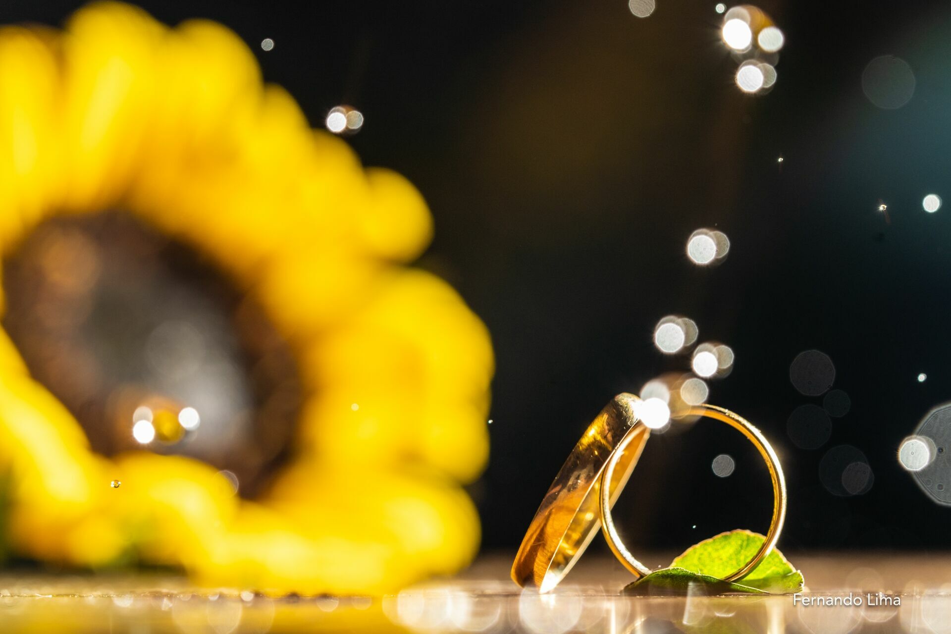 Foto Amor e Vinho: O Encantador Casamento de Julia e Lucas na Vinícola Foto Amor e Vinho: O Encantador Casamento de Julia e Lucas na Vinícola - Imagem 52
