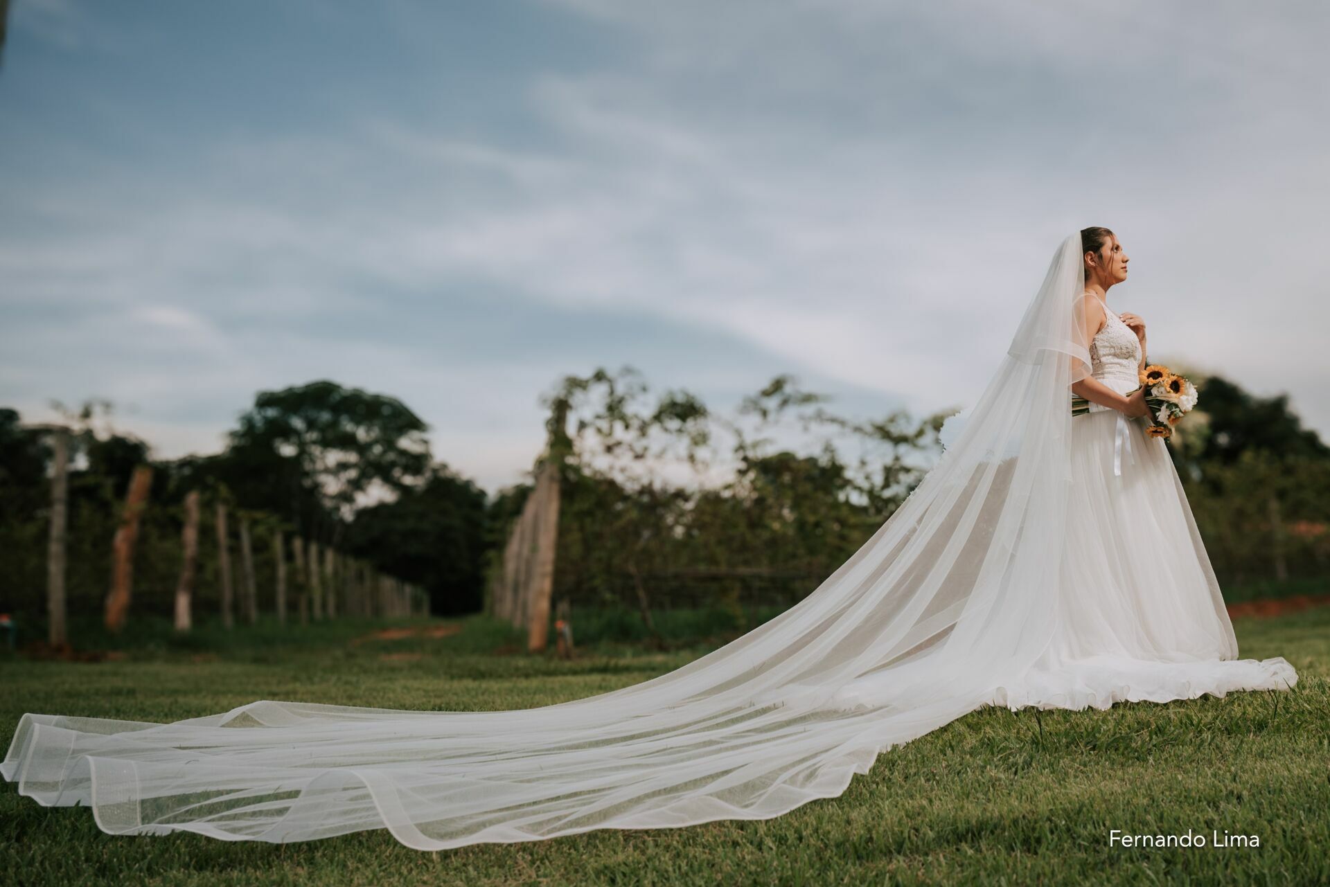 Foto Amor e Vinho: O Encantador Casamento de Julia e Lucas na Vinícola Foto Amor e Vinho: O Encantador Casamento de Julia e Lucas na Vinícola - Imagem 22