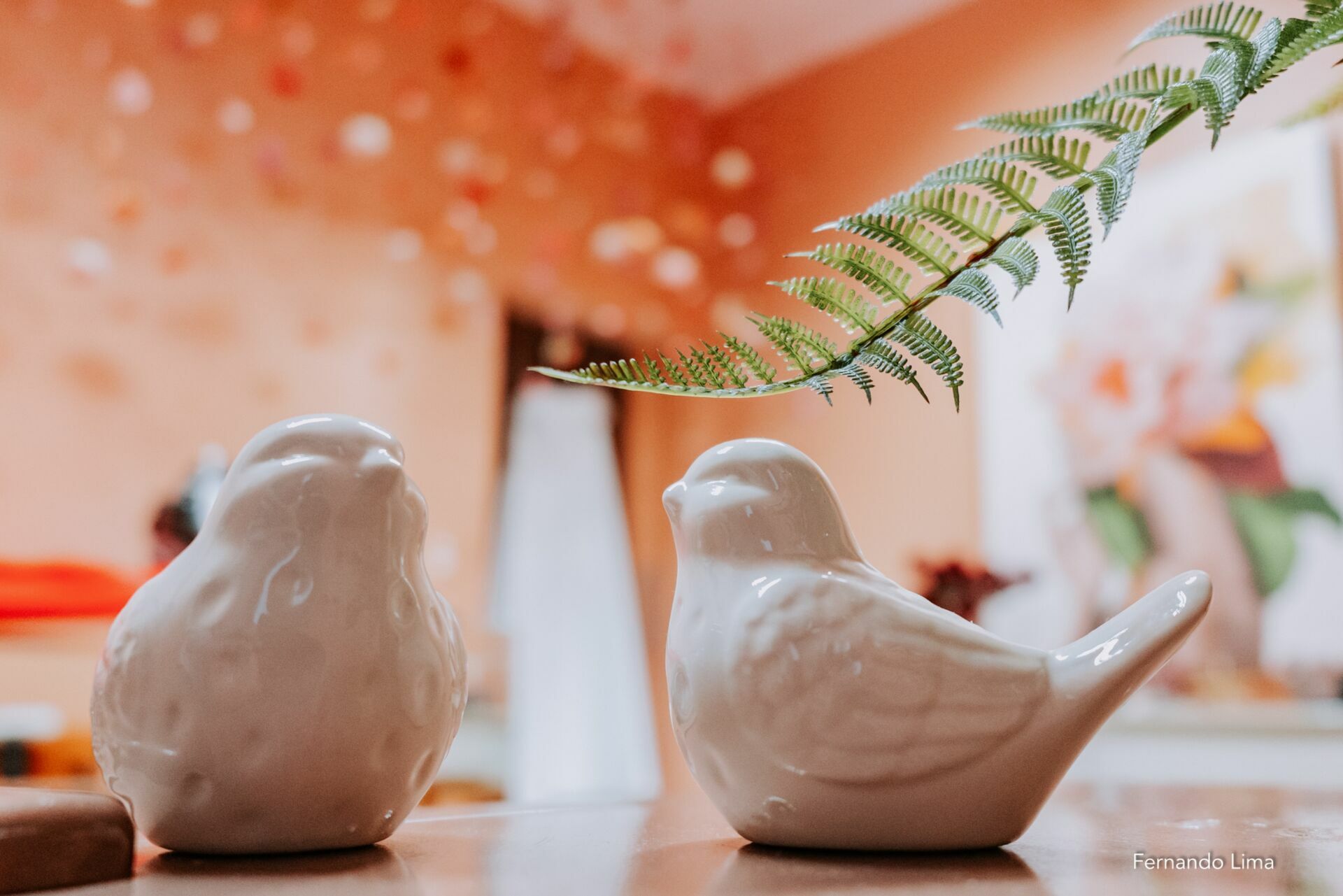 Foto MICRO WEDDING INESQUECÍVEL: ANNE E JOAQUIM CELEBRARAM O AMOR! - Imagem 0