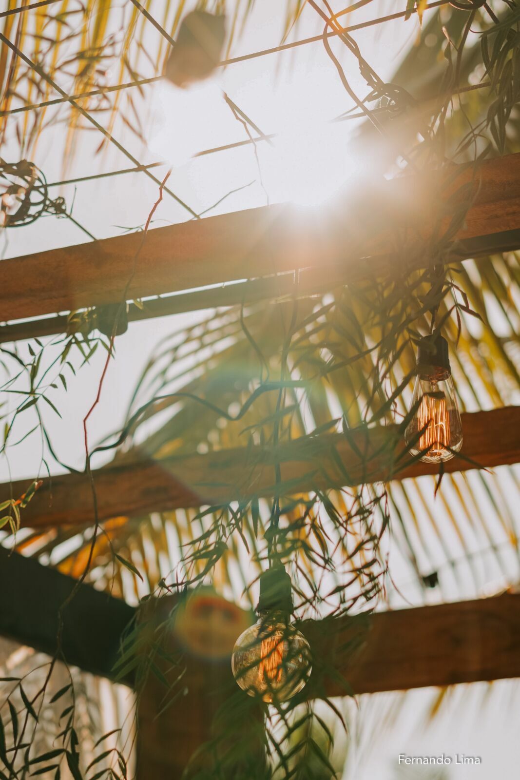 Foto MICRO WEDDING INESQUECÍVEL: ANNE E JOAQUIM CELEBRARAM O AMOR! - Imagem 7