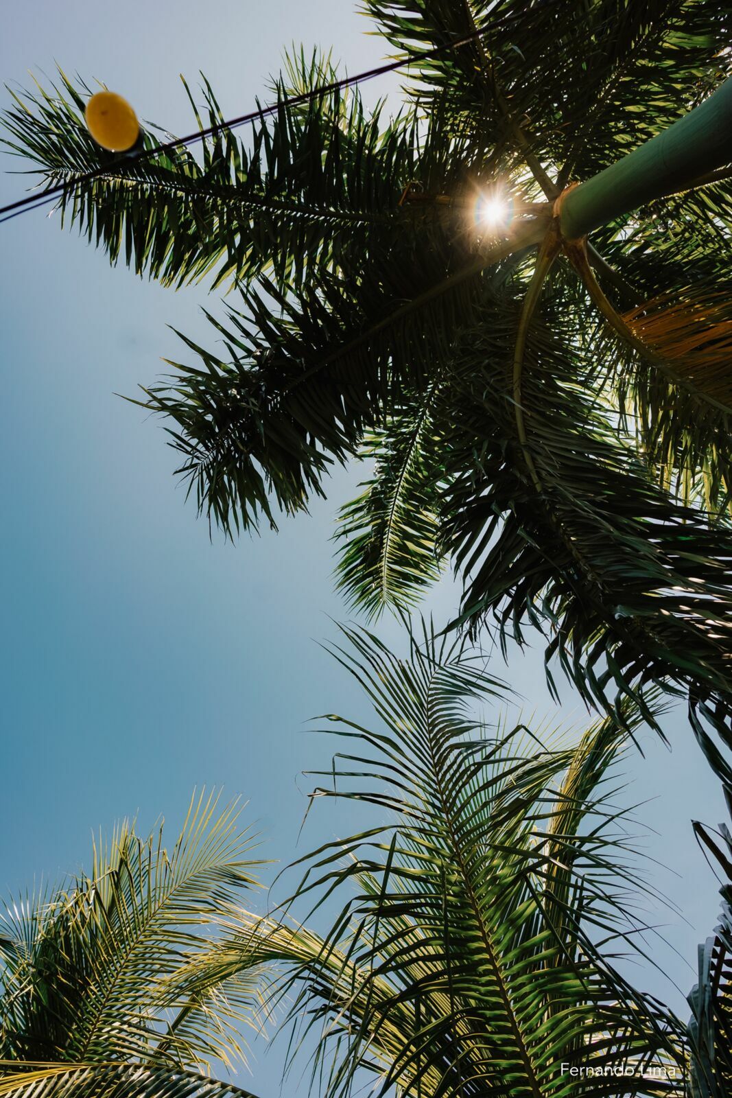 Foto MICRO WEDDING INESQUECÍVEL: ANNE E JOAQUIM CELEBRARAM O AMOR! - Imagem 26