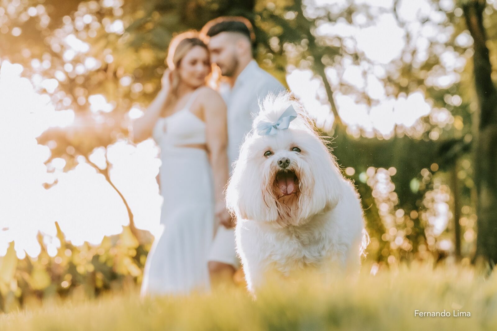 Foto ENSAIO PRÉ-WEDDING DE MARIANA E RENAN: UM PÔR DO SOL INCRÍVEL NA QUINTA DO SARDÃO EM GUARARAPES Foto ENSAIO PRÉ-WEDDING DE MARIANA E RENAN: UM PÔR DO SOL INCRÍVEL NA QUINTA DO SARDÃO EM GUARARAPES - Imagem 5