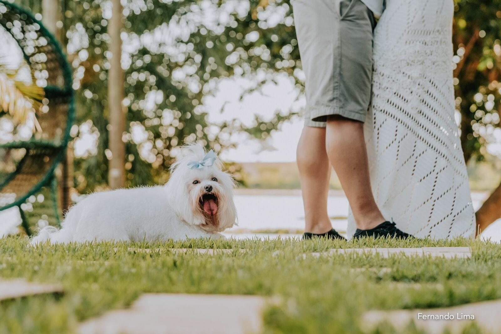 Foto ENSAIO PRÉ-WEDDING DE MARIANA E RENAN: UM PÔR DO SOL INCRÍVEL NA QUINTA DO SARDÃO EM GUARARAPES Foto ENSAIO PRÉ-WEDDING DE MARIANA E RENAN: UM PÔR DO SOL INCRÍVEL NA QUINTA DO SARDÃO EM GUARARAPES - Imagem 18