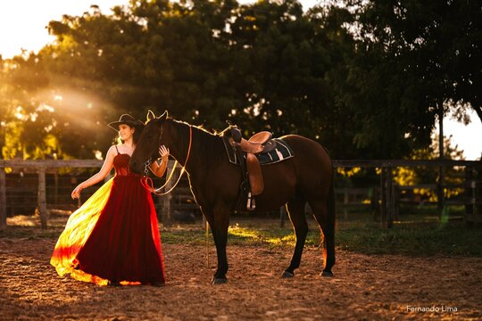 Ensaio de 15 Anos no Haras – Liberdade, Beleza e Sonhos ao Ar Livre