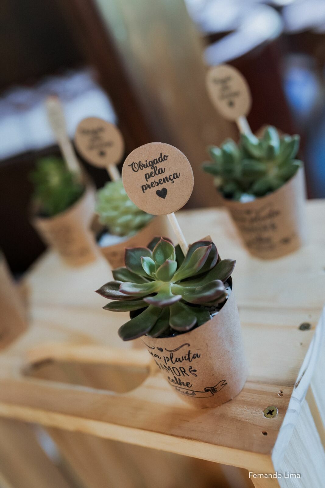 Foto Kamila & Rayner — Um “sim” vivido com verdade, emoção e entrega - Imagem 2