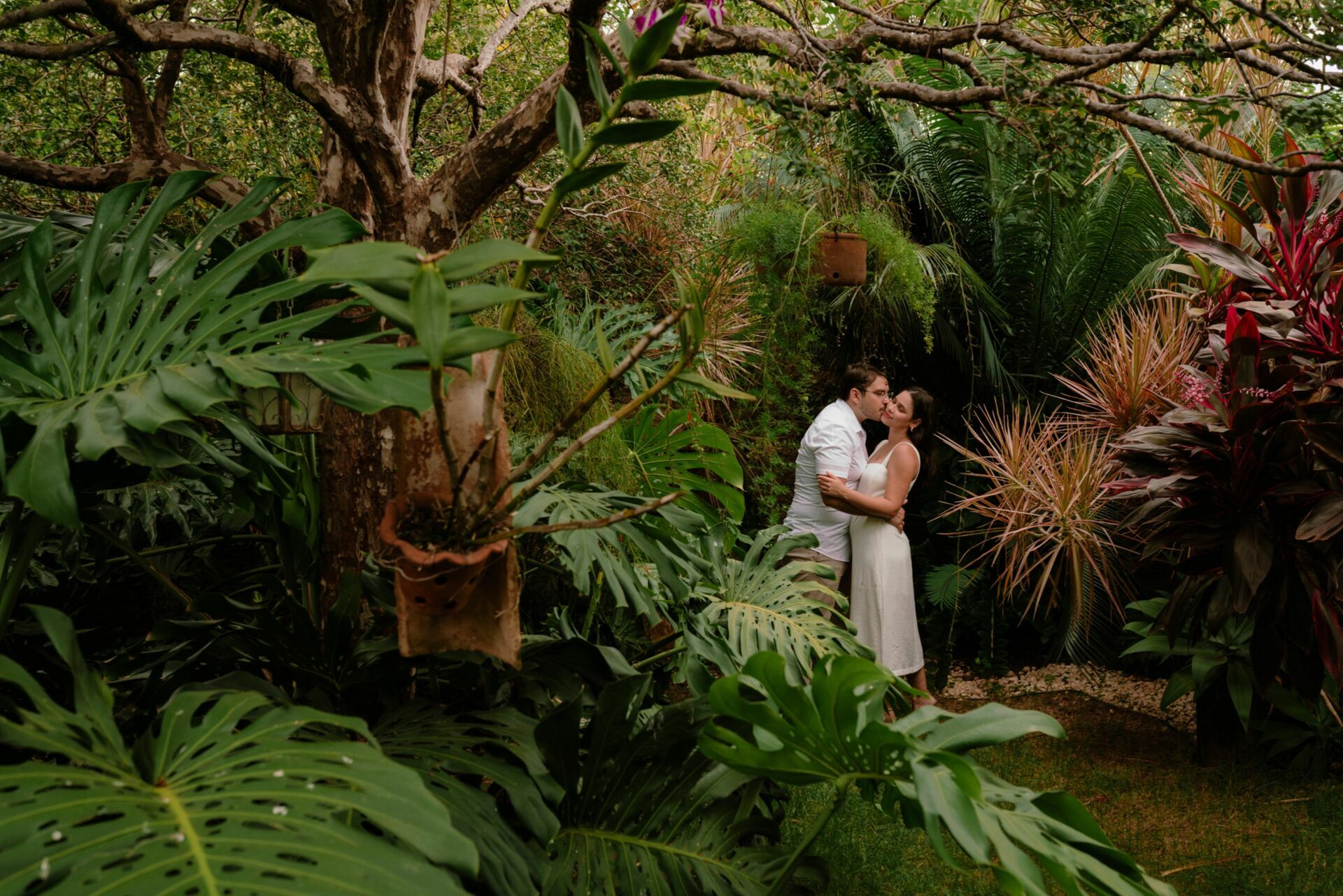 Foto “Casa de Vó” Mayara e Pietro  - Imagem 0