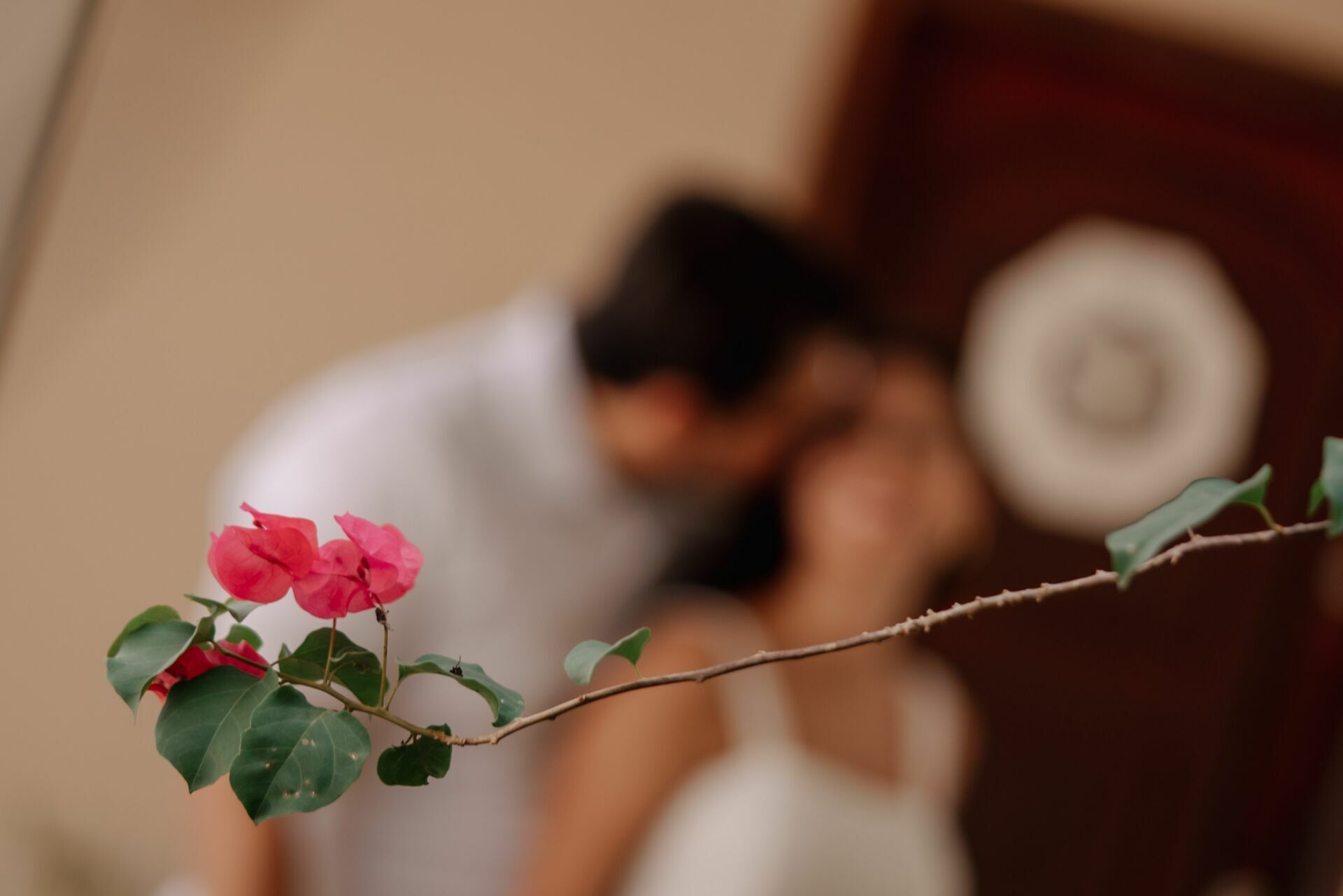 Foto “Casa de Vó” Mayara e Pietro  - Imagem 22