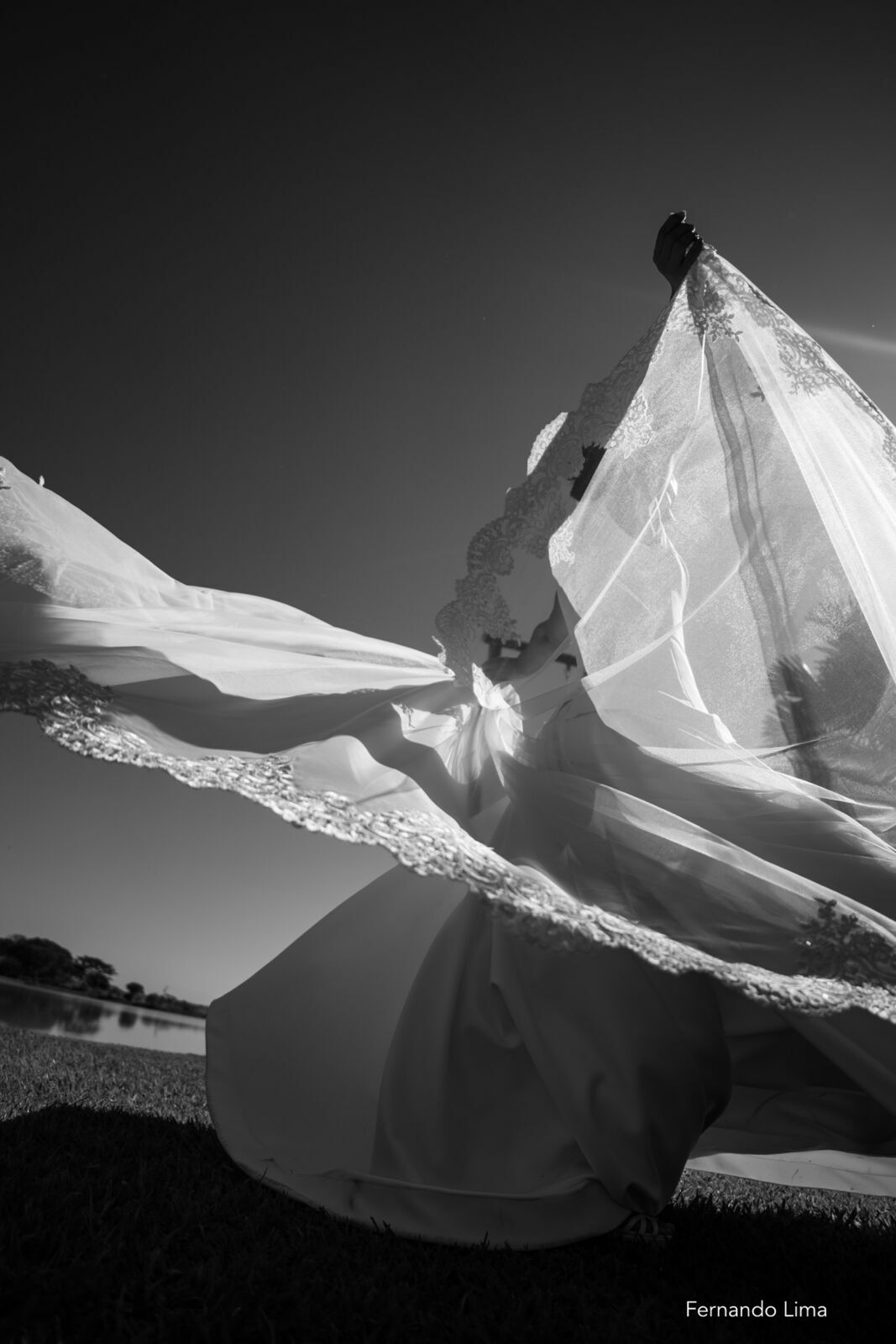 Foto Casamento de Letícia e João Pedro na Quinta do Sardão Foto Casamento de Letícia e João Pedro na Quinta do Sardão - Imagem 20